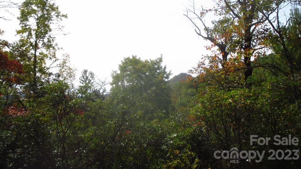 Lot at Lot 40 The Knoll None, Bryson City