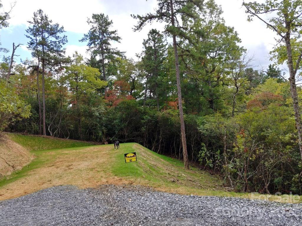 Lot at Lot 40 The Knoll None, Bryson City, photo 3 of 4
