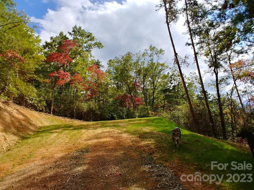 Lot at Lot 42 The Knoll None, Bryson City, photo 2 of 3