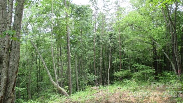Lot at Lot 37 Deeplow Gap None, Bryson City