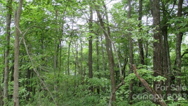 Lot at Lot 37 Deeplow Gap None, Bryson City, photo 3 of 3