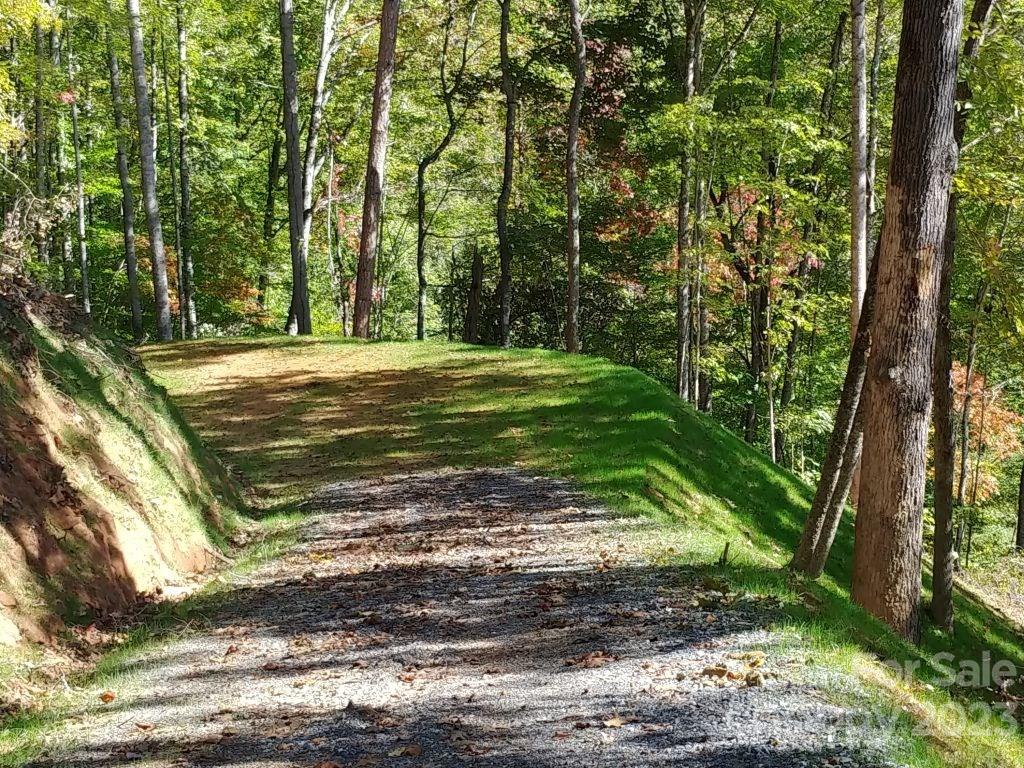 Lot at Lot 45 Thomas Divide Way, Bryson City, photo 2 of 3