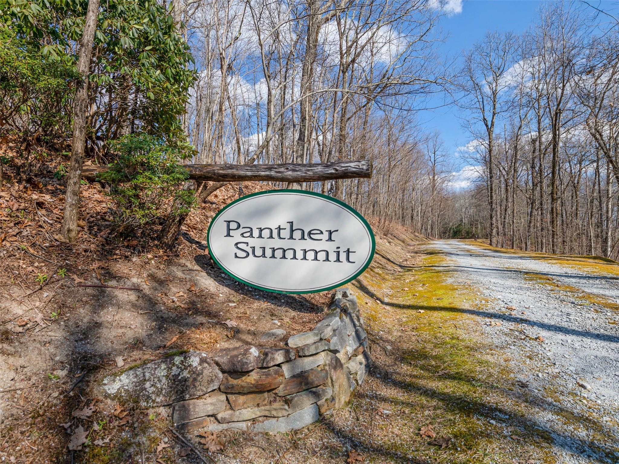 P 1&2 Panther Summit Drive