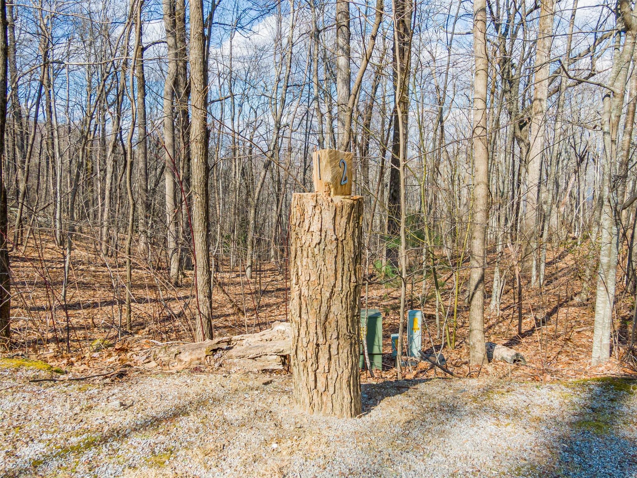 Lot at P 1&2 Panther Summit Drive, Lake Toxaway, photo 2 of 26