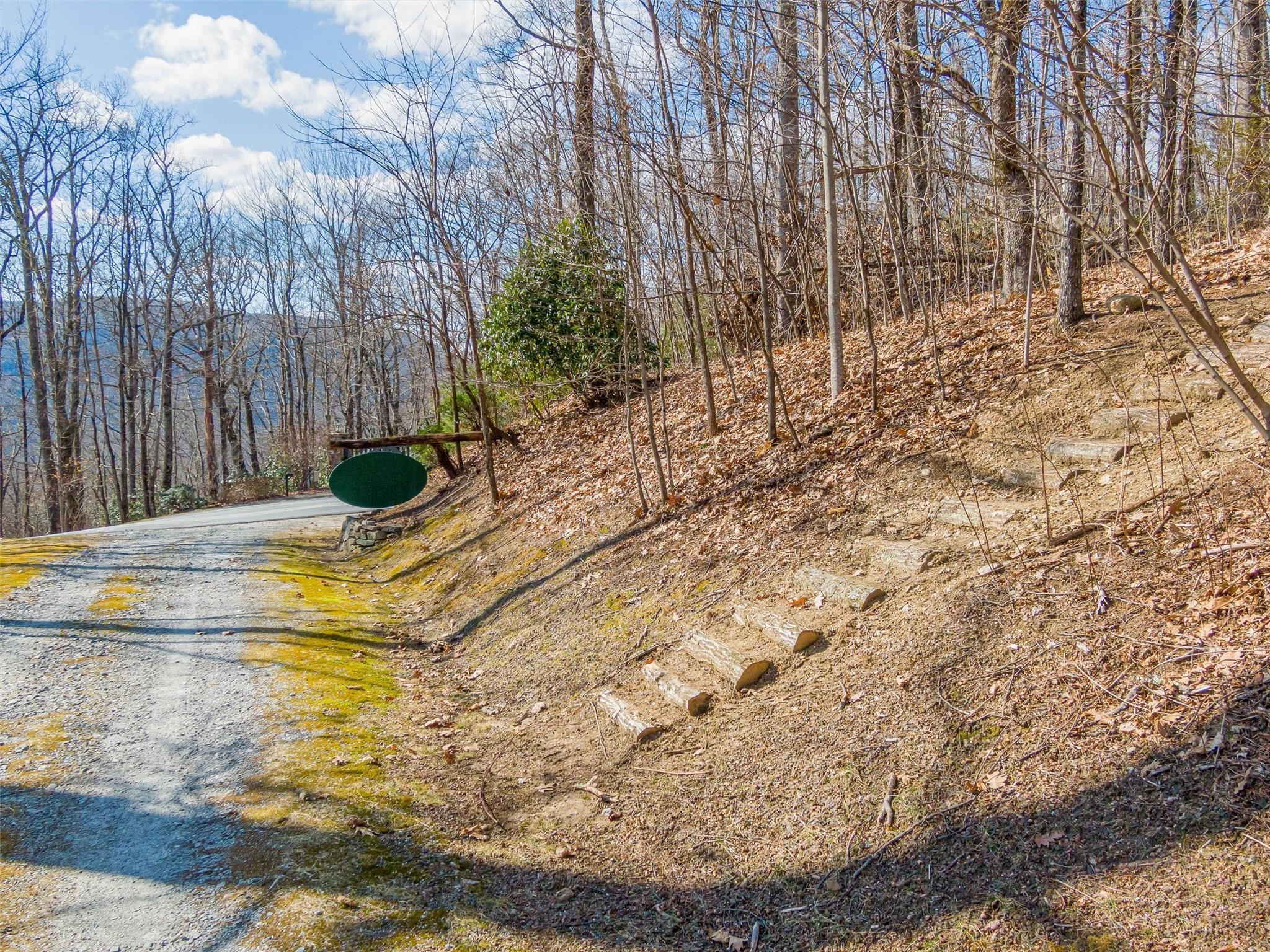 Lot at P 1&2 Panther Summit Drive, Lake Toxaway, photo 3 of 26