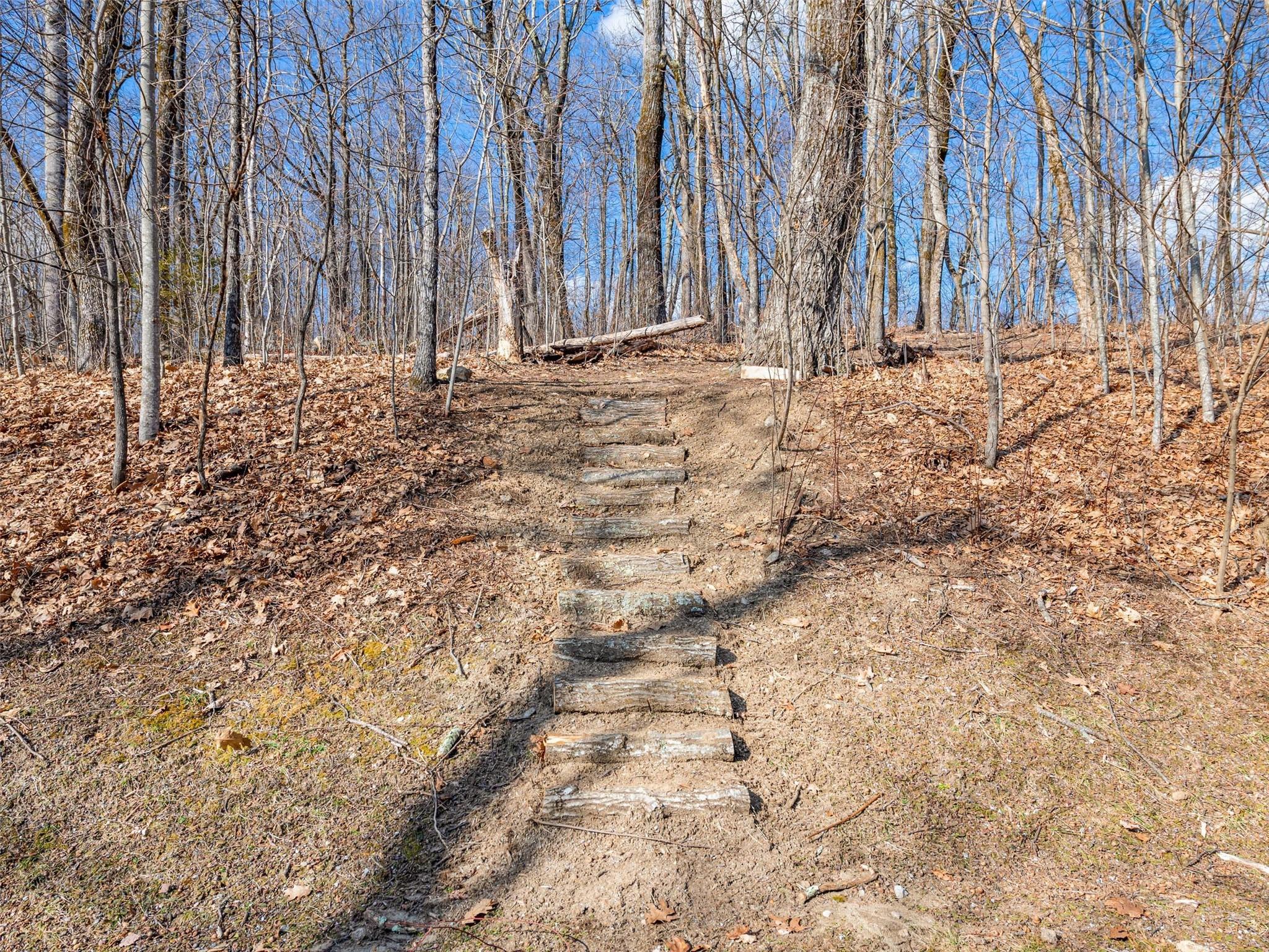 Lot at P 1&2 Panther Summit Drive, Lake Toxaway, photo 4 of 26