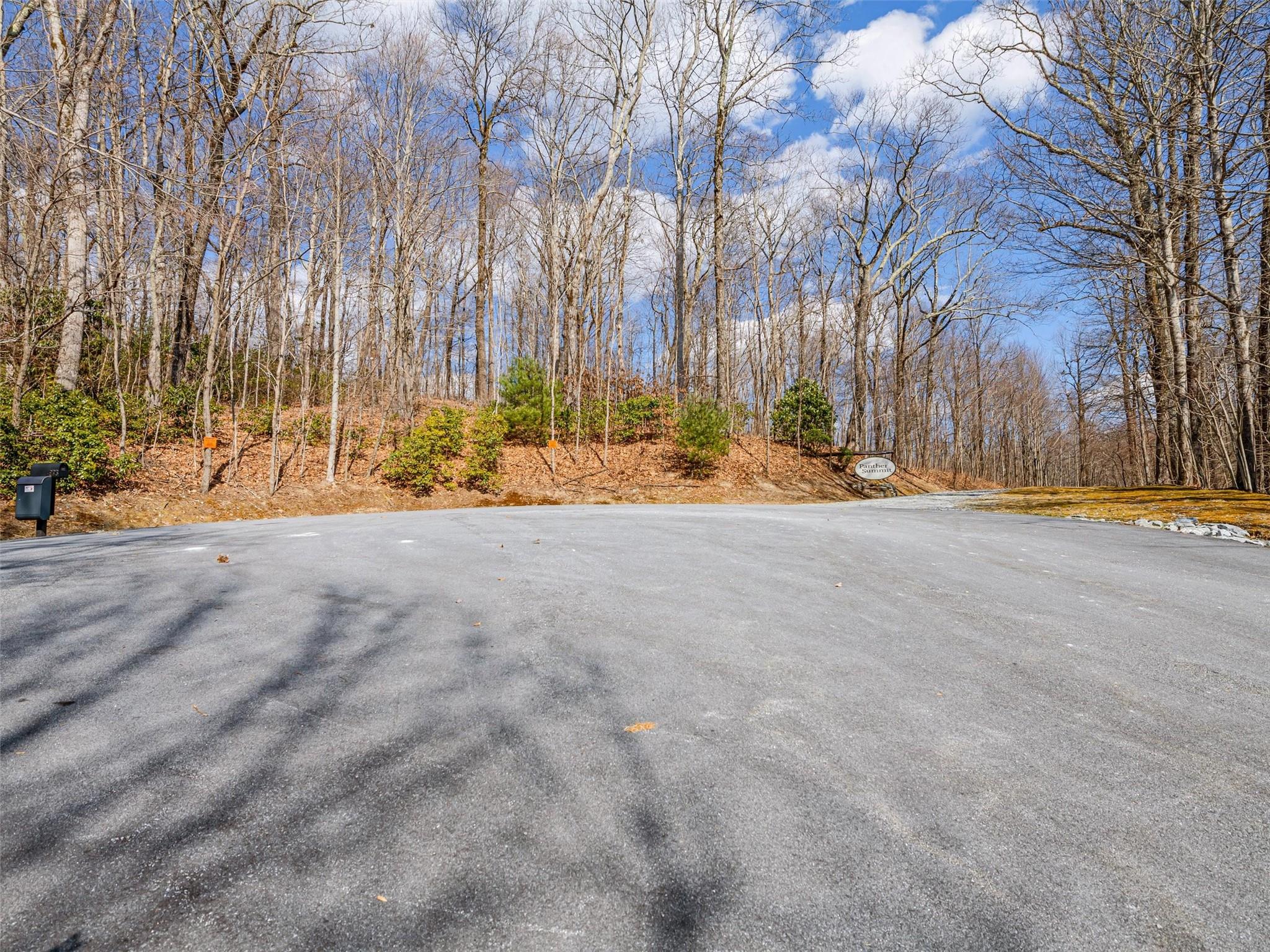 Lot at P 1&2 Panther Summit Drive, Lake Toxaway, photo 5 of 26