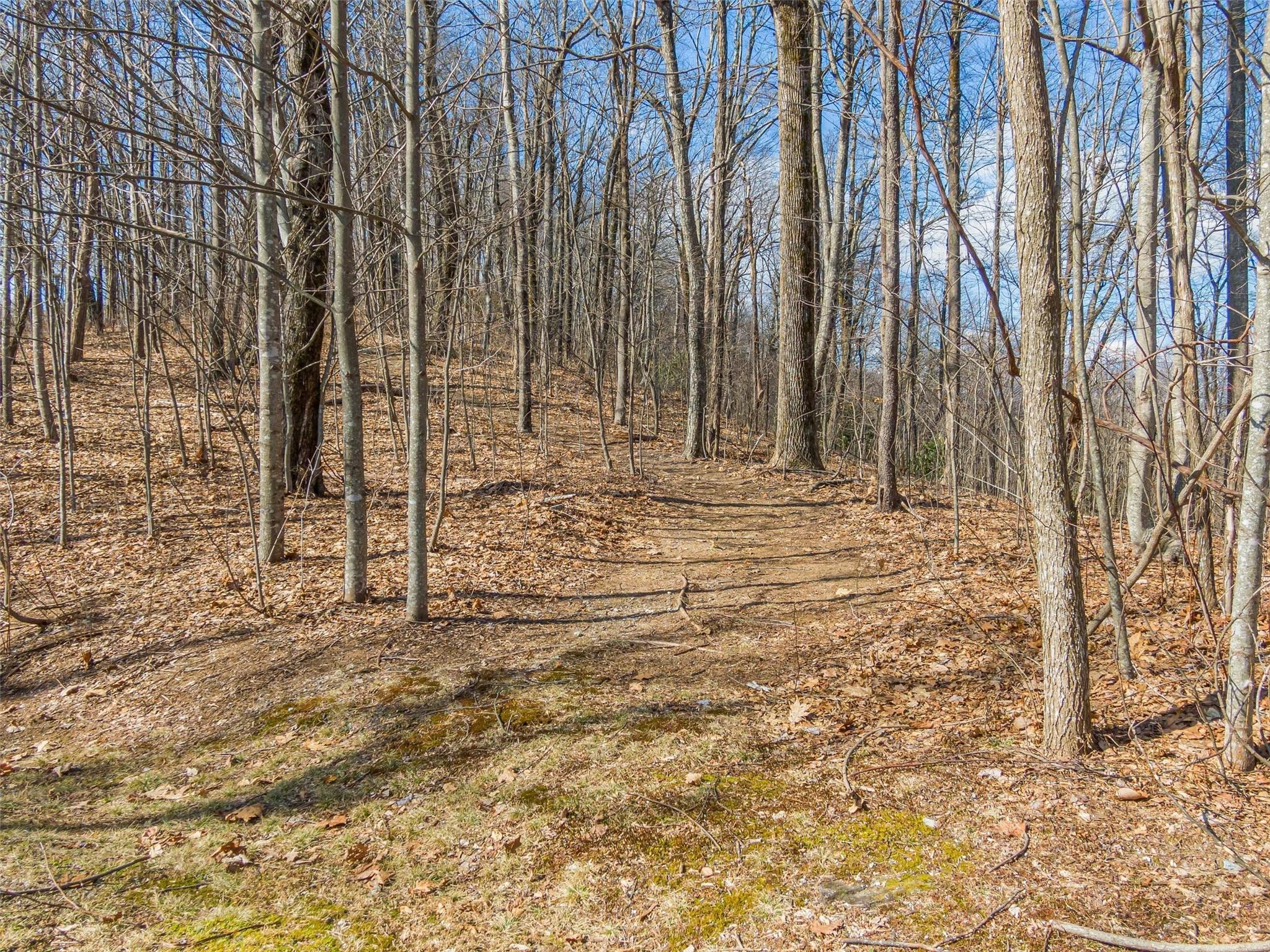 Lot at P 1&2 Panther Summit Drive, Lake Toxaway, photo 6 of 26