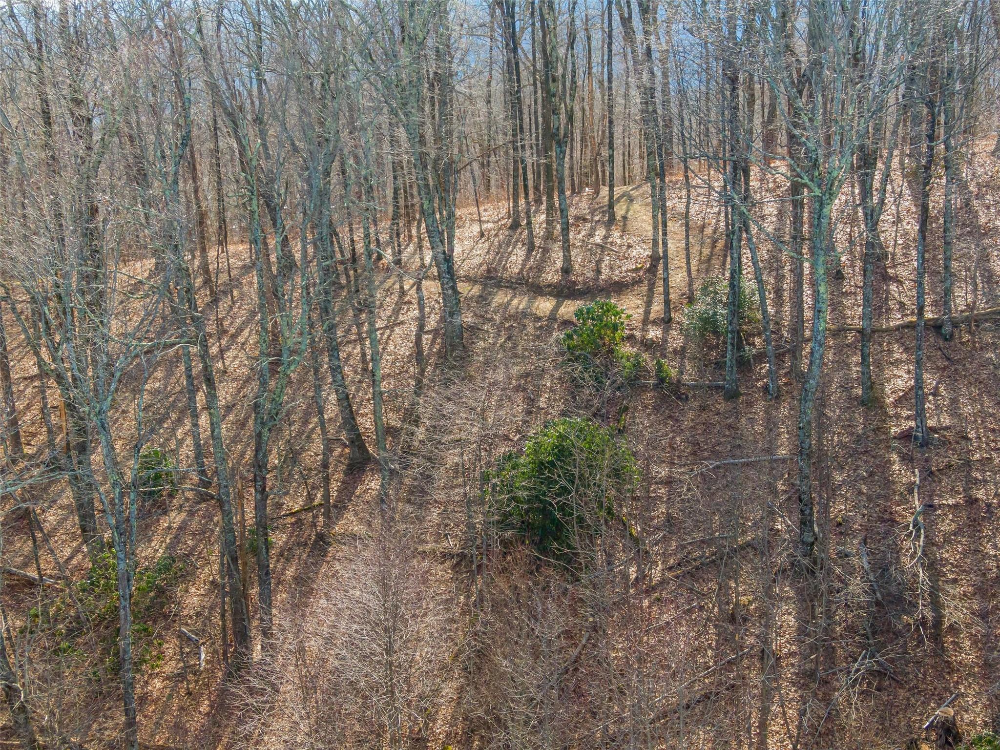 Lot at P 1&2 Panther Summit Drive, Lake Toxaway, photo 18 of 26