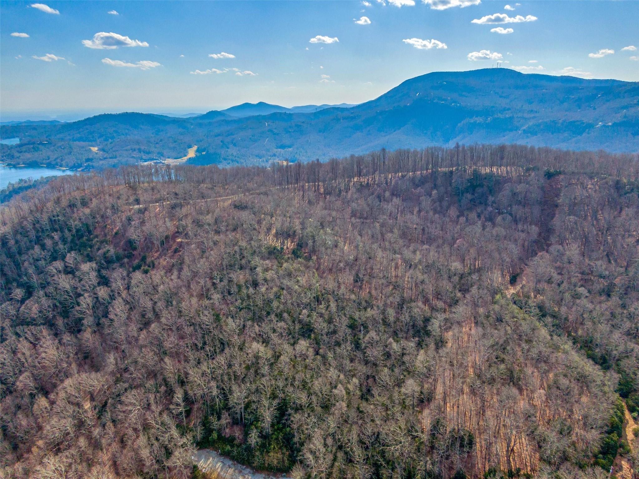 Lot at P 1&2 Panther Summit Drive, Lake Toxaway, photo 24 of 26