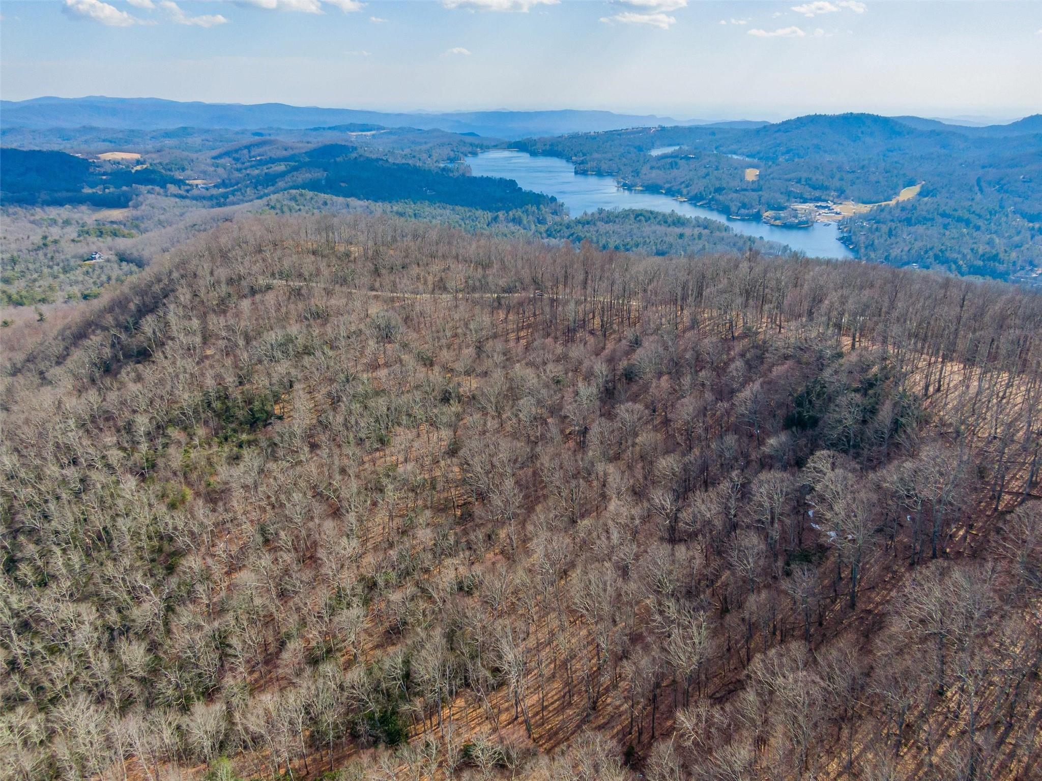 Lot at P 1&2 Panther Summit Drive, Lake Toxaway, photo 25 of 26