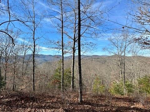 305 Raccoon Run
