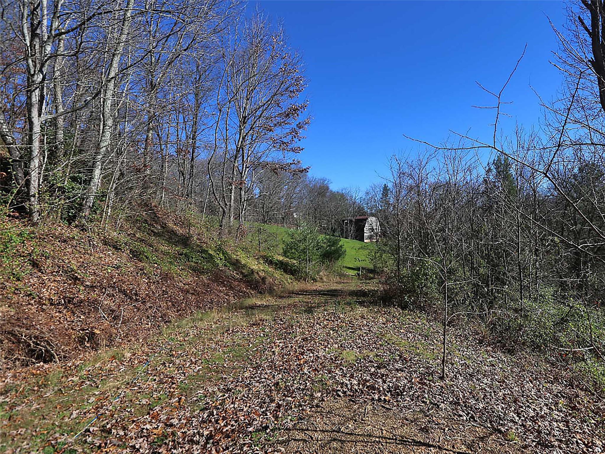 Acreage at 000 Russ Avenue, Waynesville, photo 11 of 30