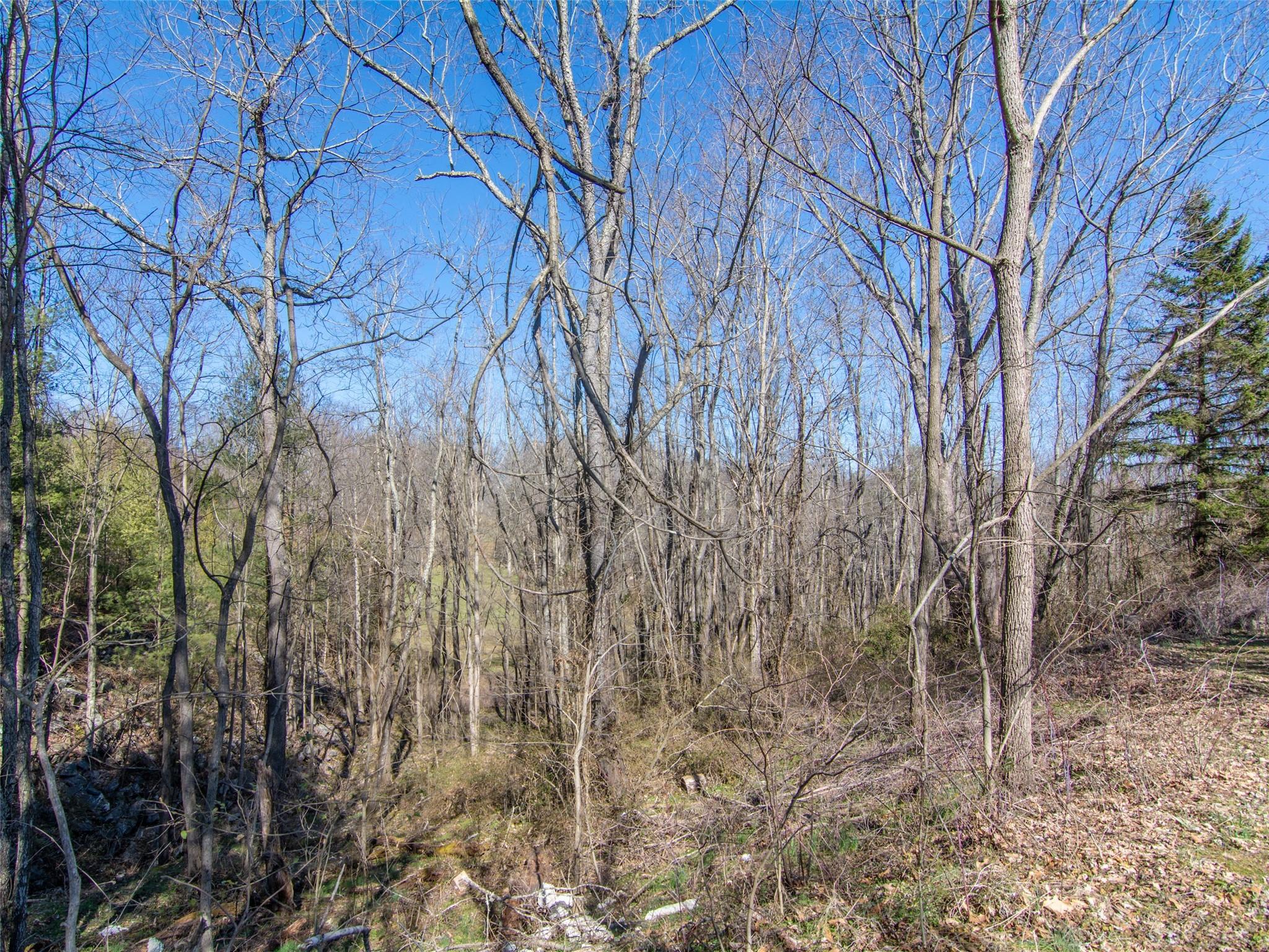 Acreage at 000 Russ Avenue, Waynesville, photo 19 of 30