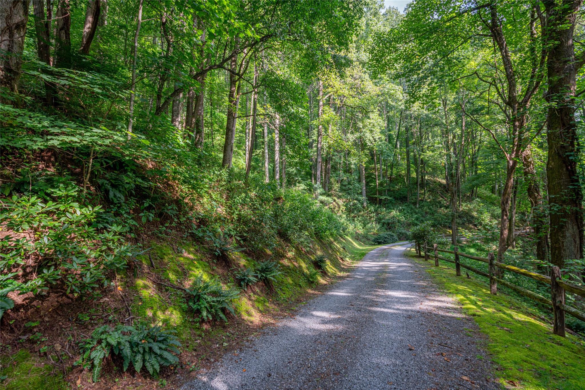 Lot at 8 Resurrection Lane, Sylva, photo 6 of 21