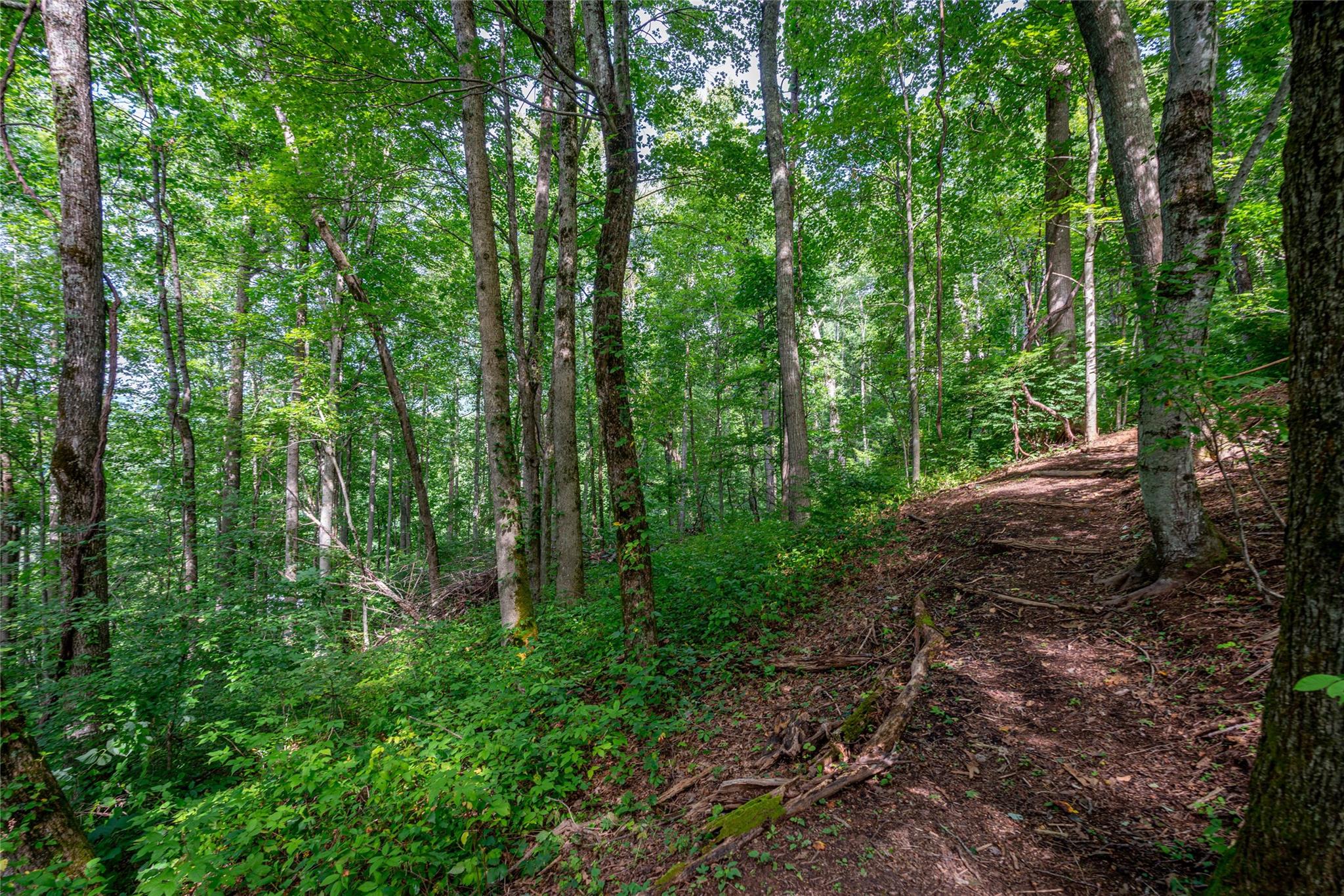 Lot at 8 Resurrection Lane, Sylva, photo 7 of 21