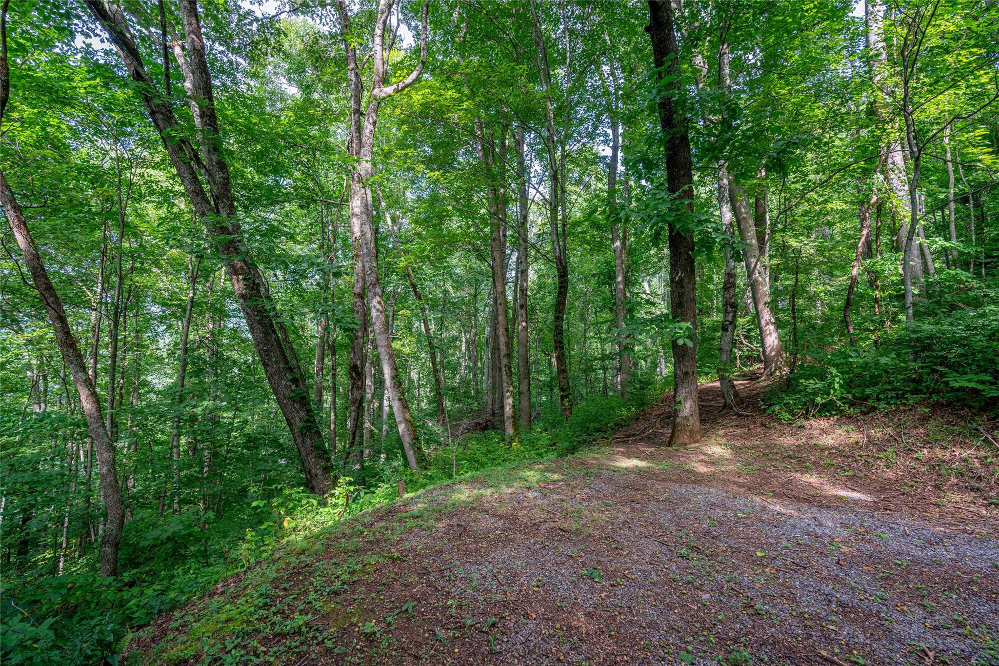 Lot at 8 Resurrection Lane, Sylva, photo 9 of 21