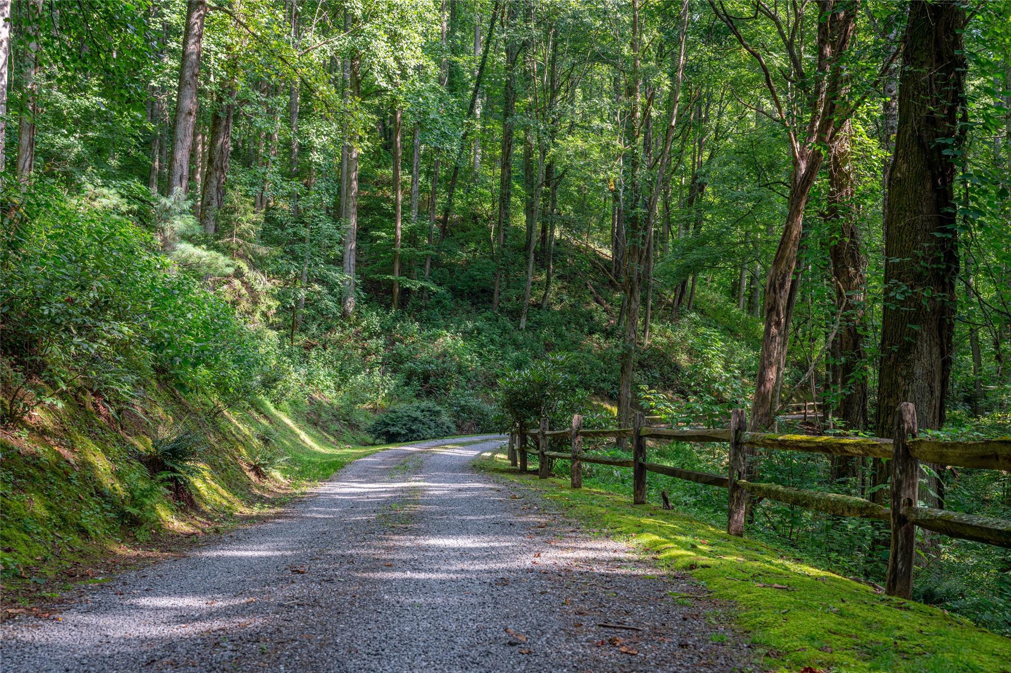 Lot at 8 Resurrection Lane, Sylva, photo 10 of 21