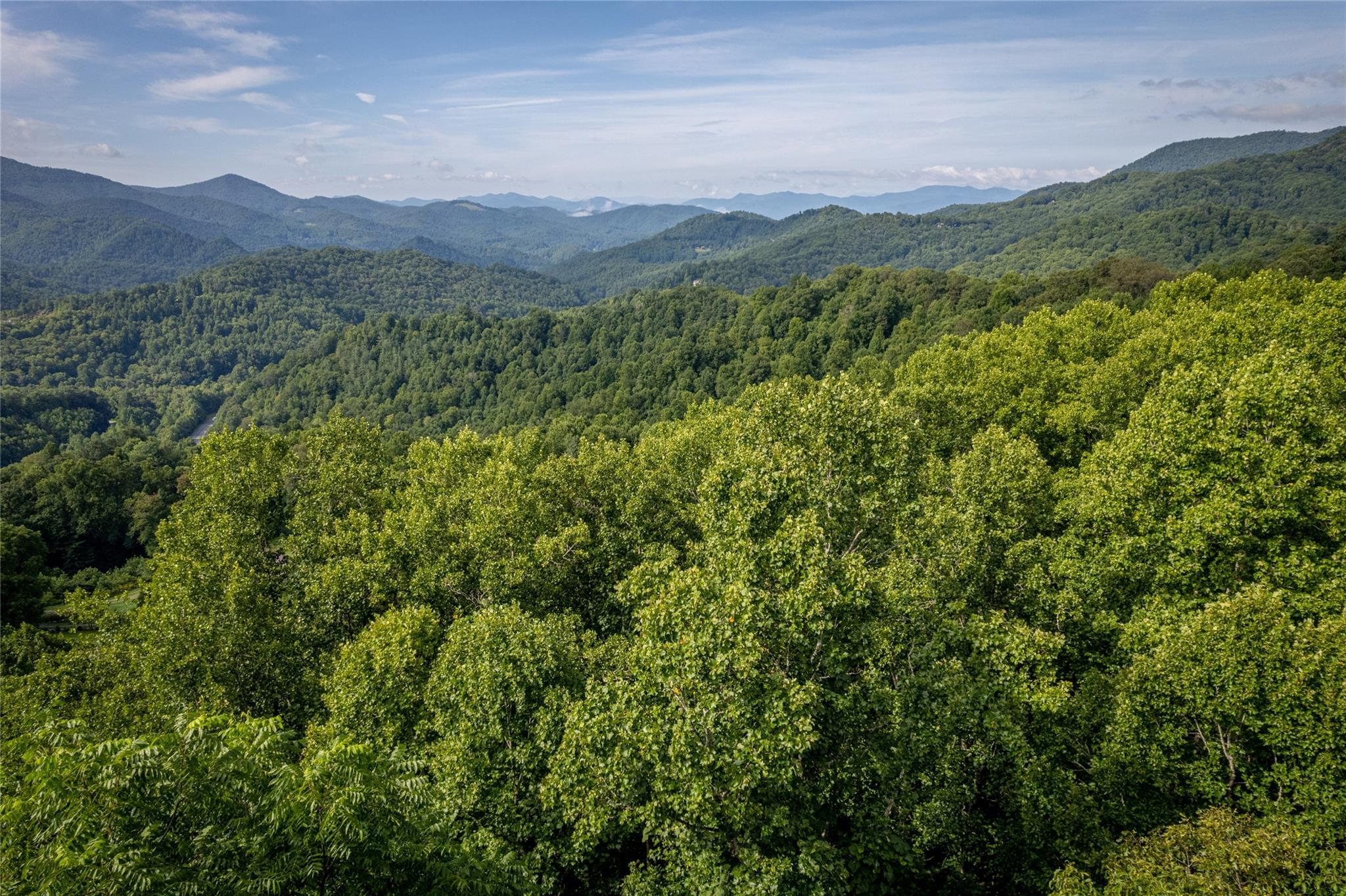 Land on the grassy knoll in front. - 8 Resurrection Lane, Sylva