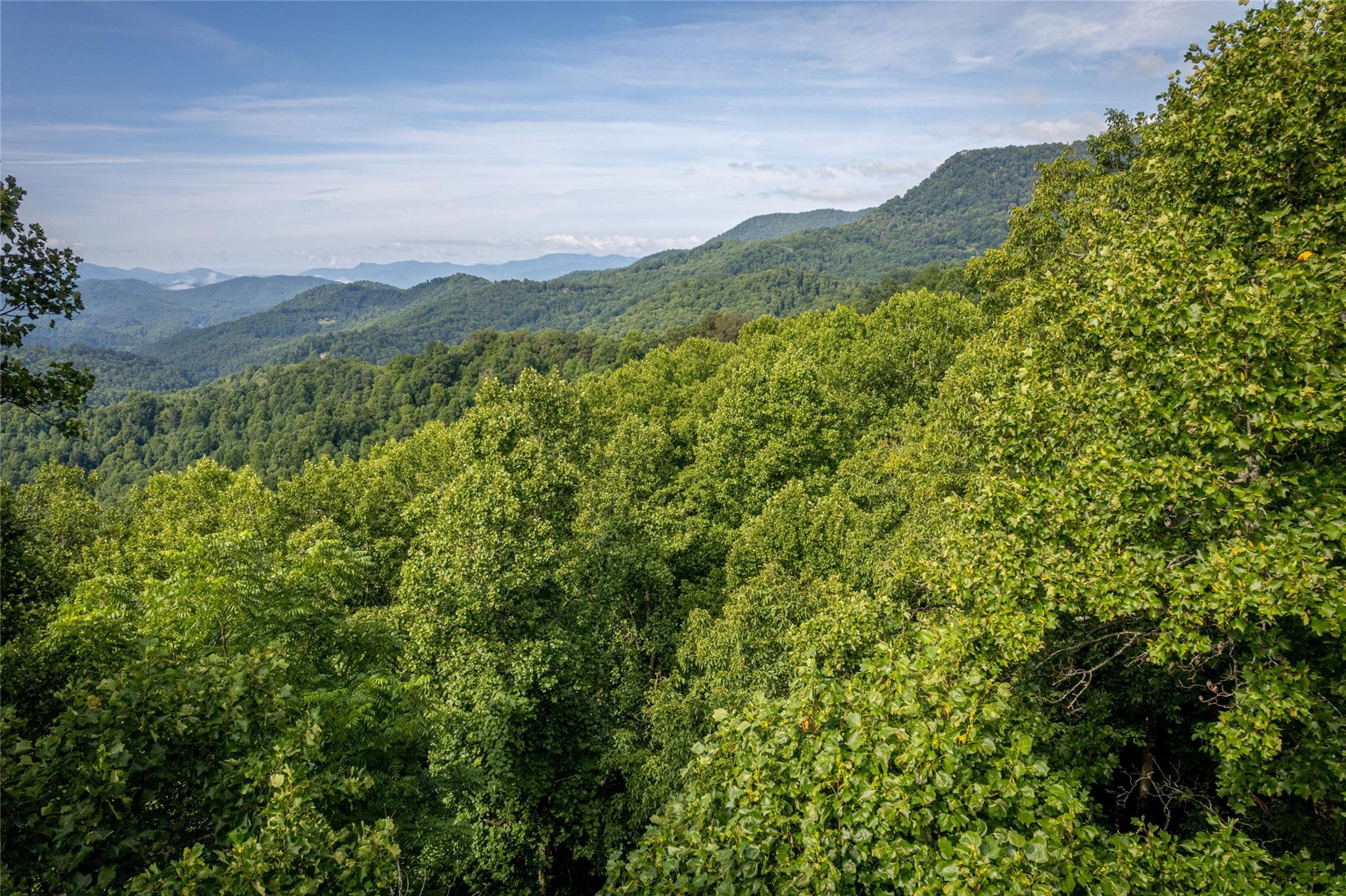 Lot at 8 Resurrection Lane, Sylva, photo 13 of 21