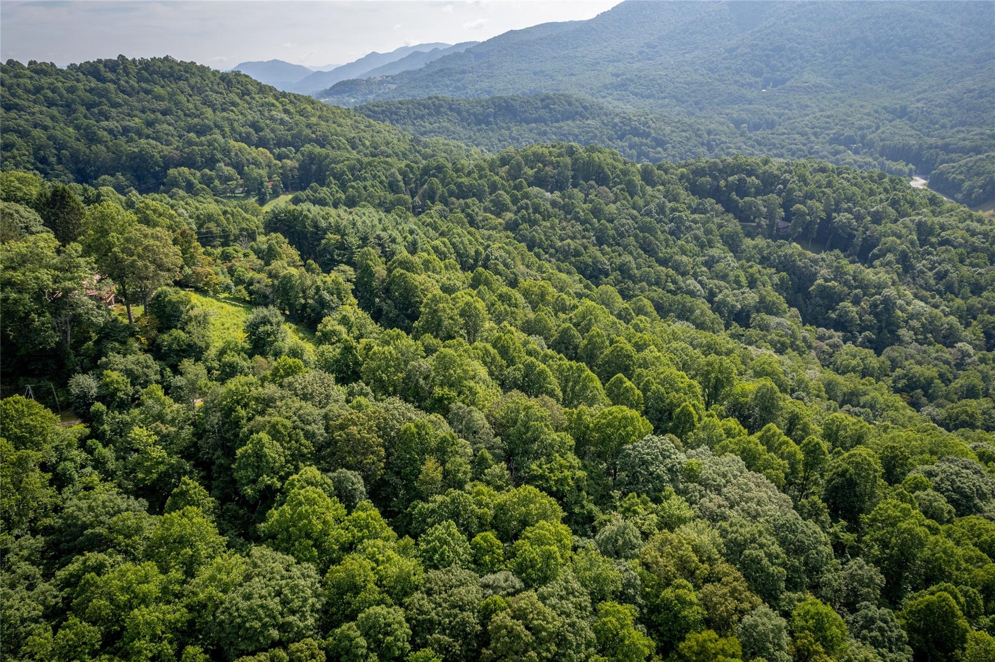 Lot at 8 Resurrection Lane, Sylva, photo 19 of 21