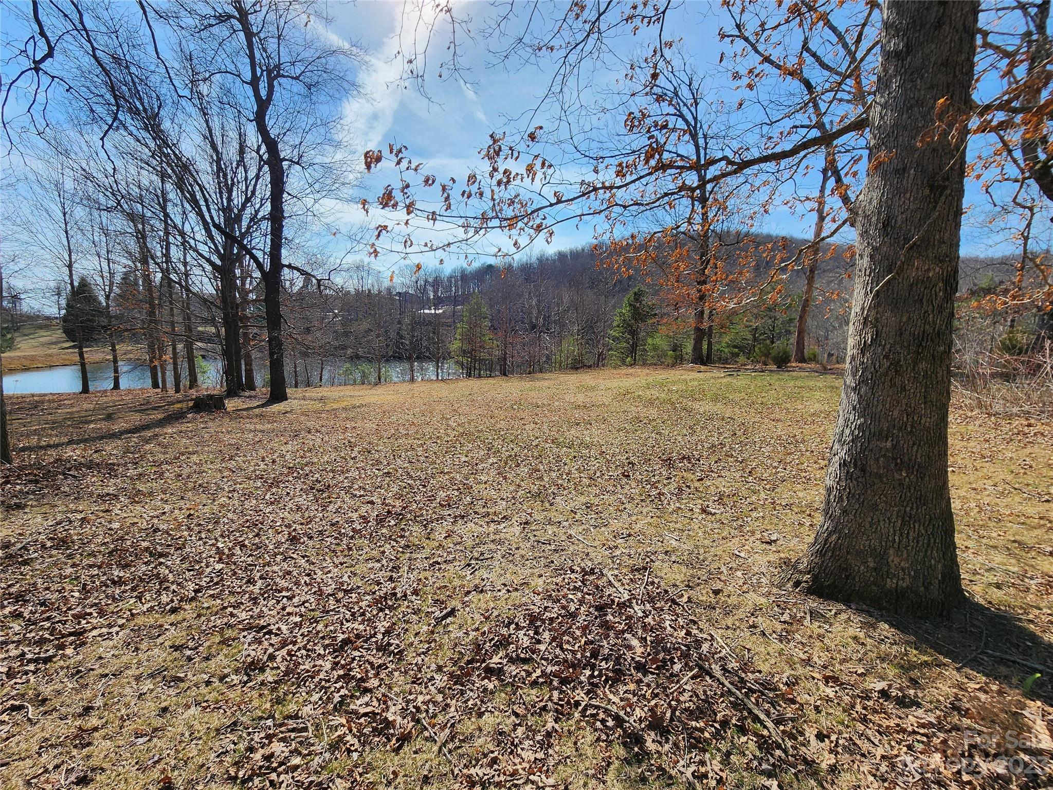 Lot at Lot 77 Three Bridges Drive, Columbus, photo 4 of 26