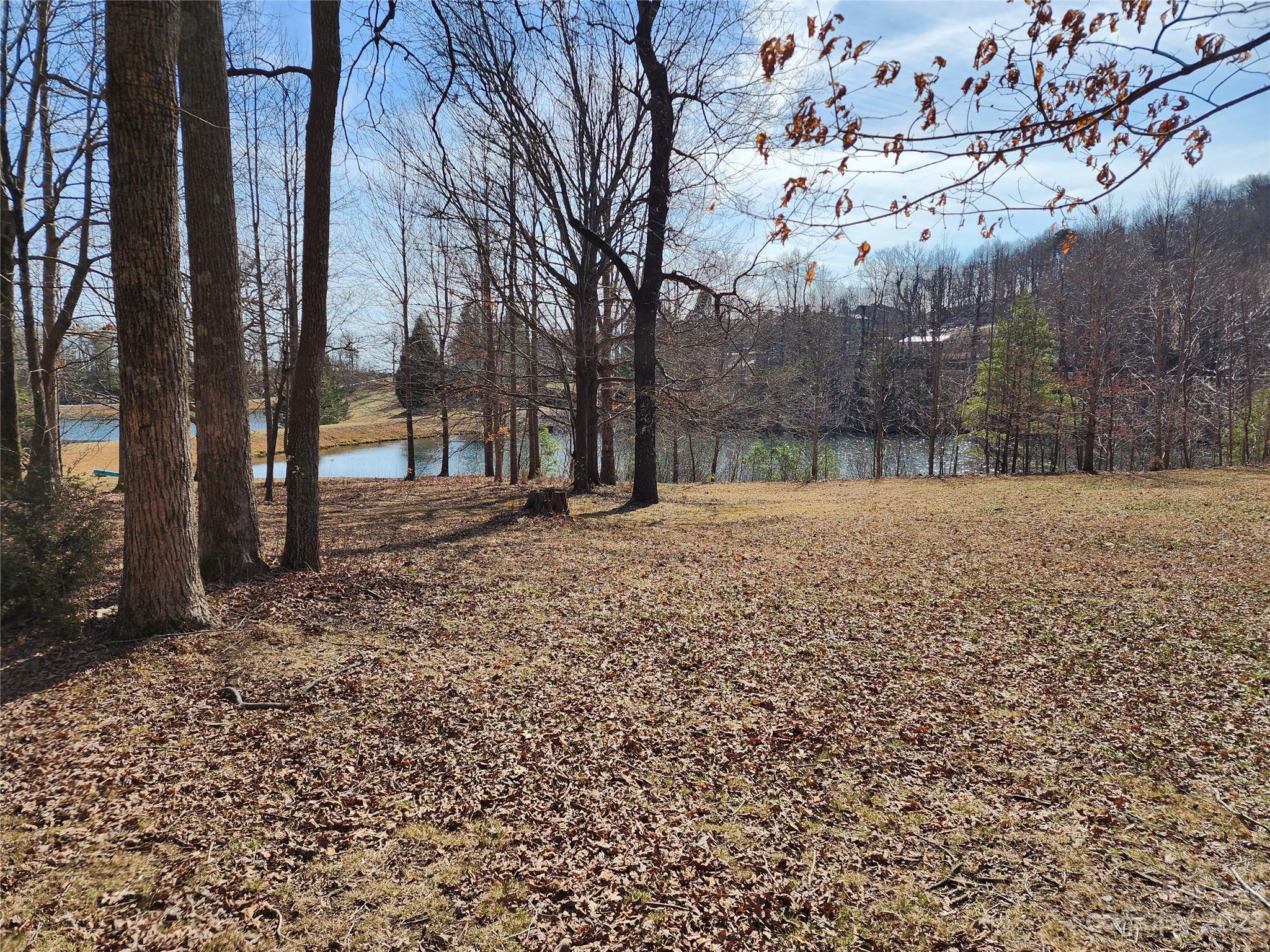 Lot at Lot 77 Three Bridges Drive, Columbus, photo 6 of 26