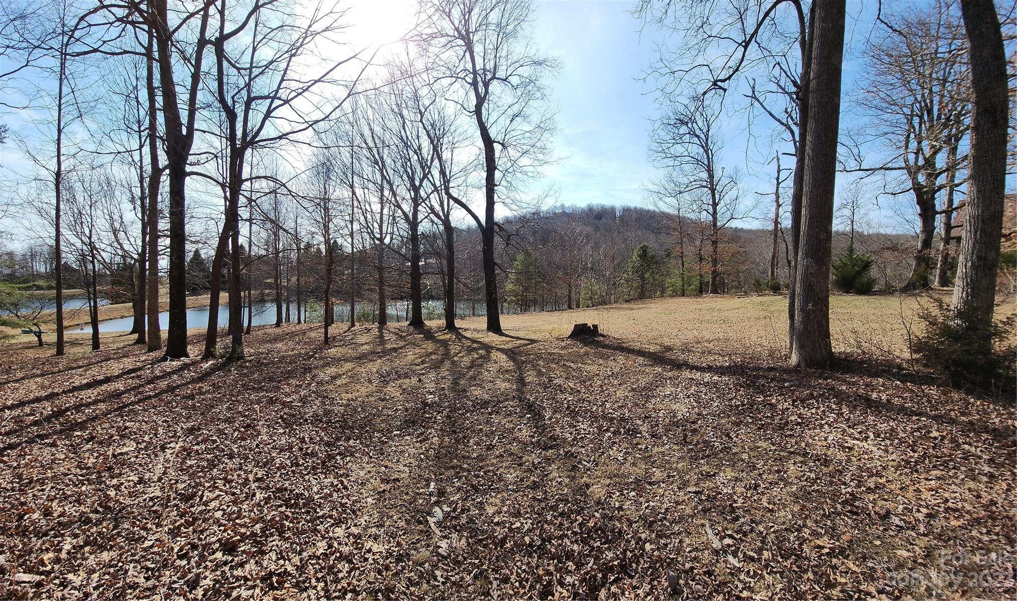 Lot at Lot 77 Three Bridges Drive, Columbus, photo 7 of 26