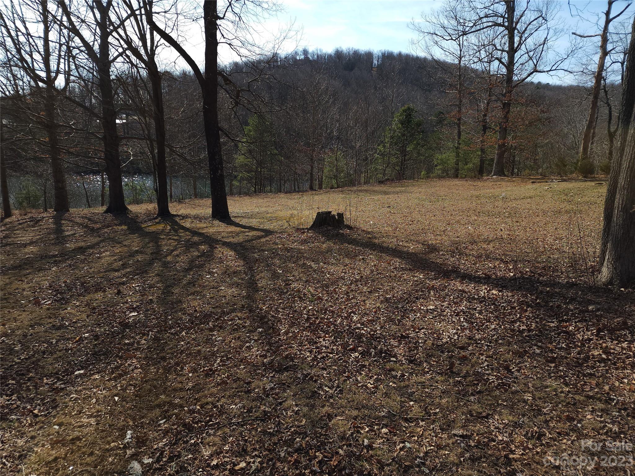 Lot at Lot 77 Three Bridges Drive, Columbus, photo 9 of 26