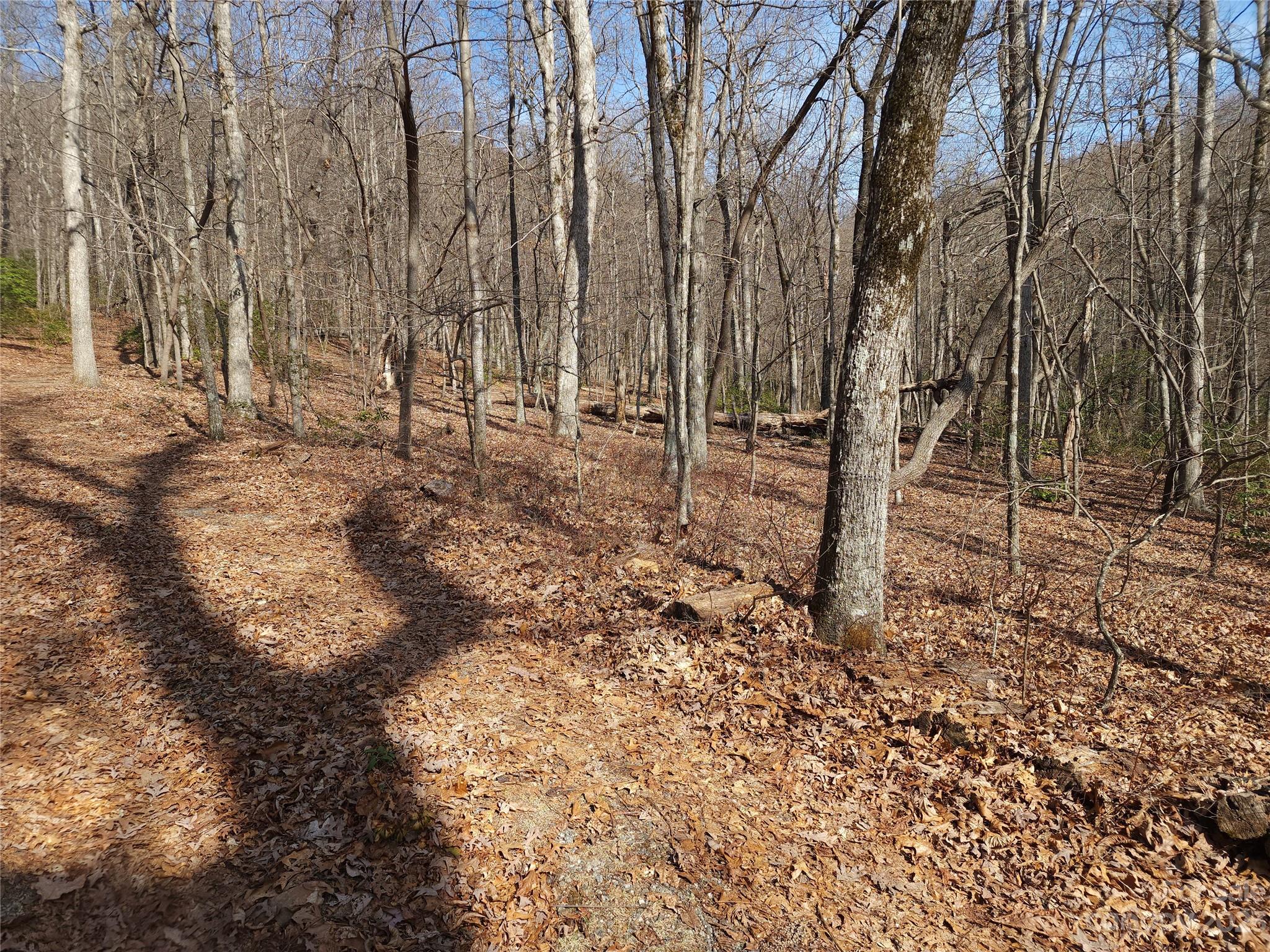 Lot at Lot 77 Three Bridges Drive, Columbus, photo 14 of 26
