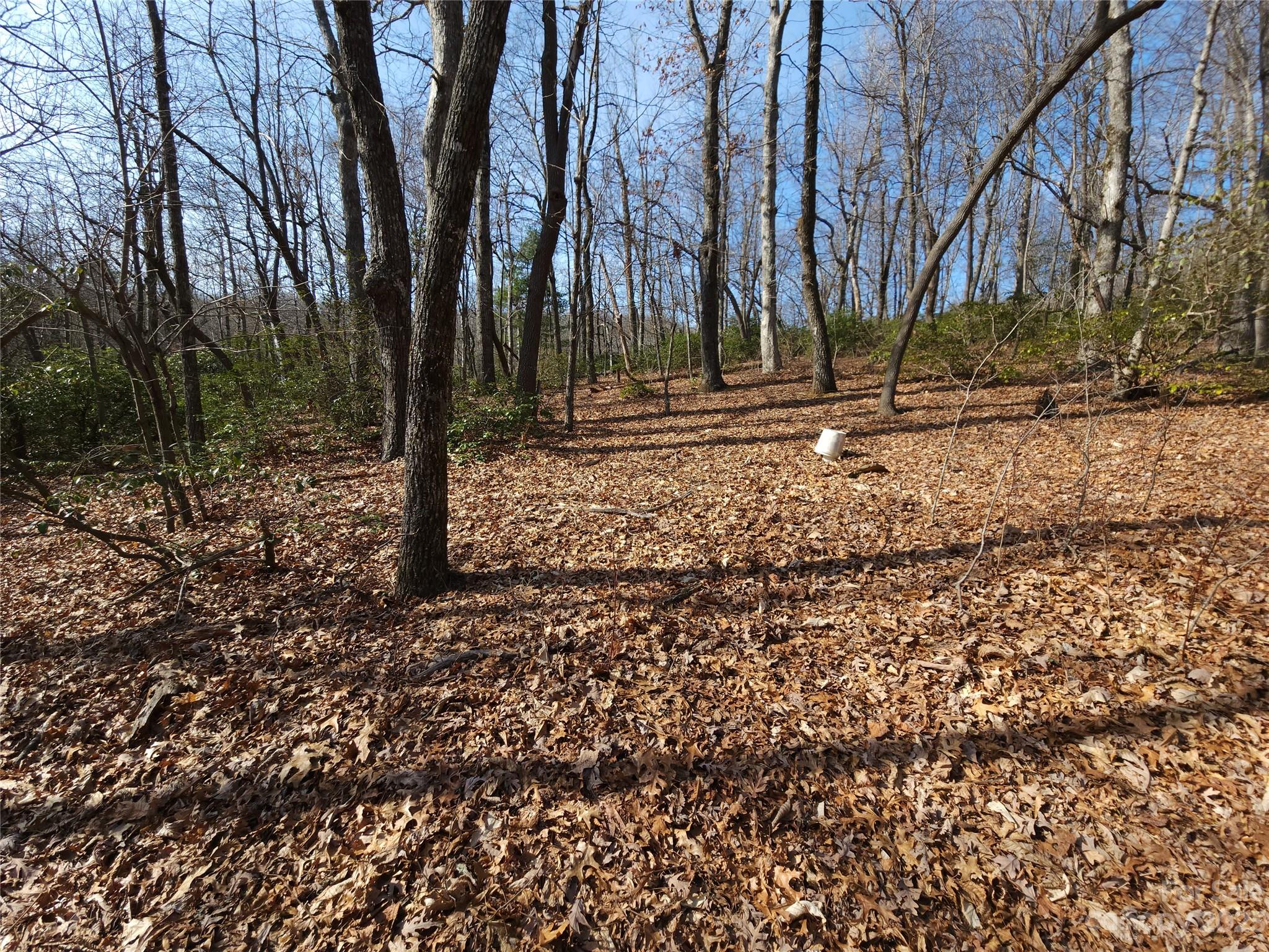 Lot at Lot 77 Three Bridges Drive, Columbus, photo 16 of 26