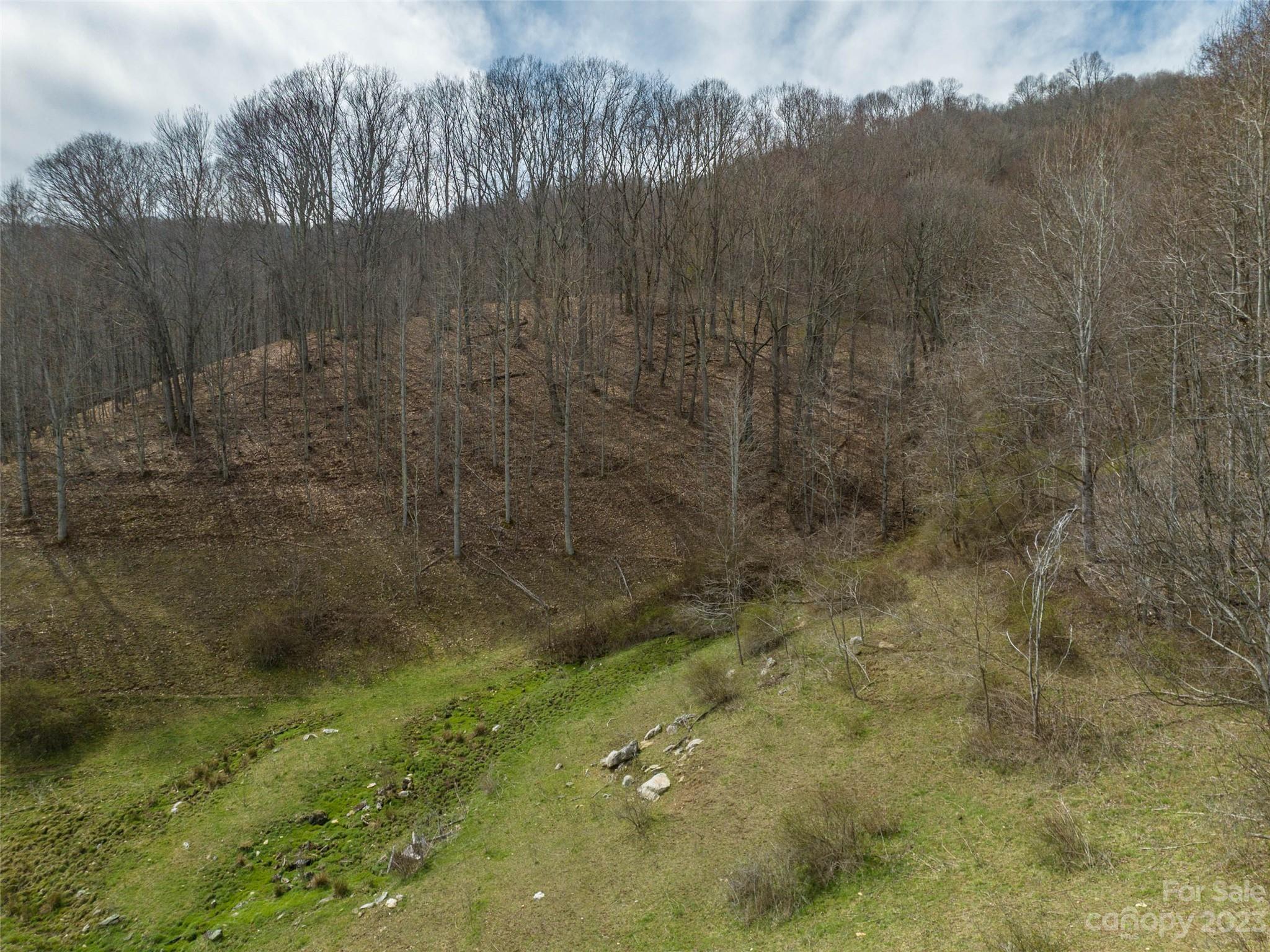Acreage at 00 Wesley Creek Road, Clyde, photo 15 of 45