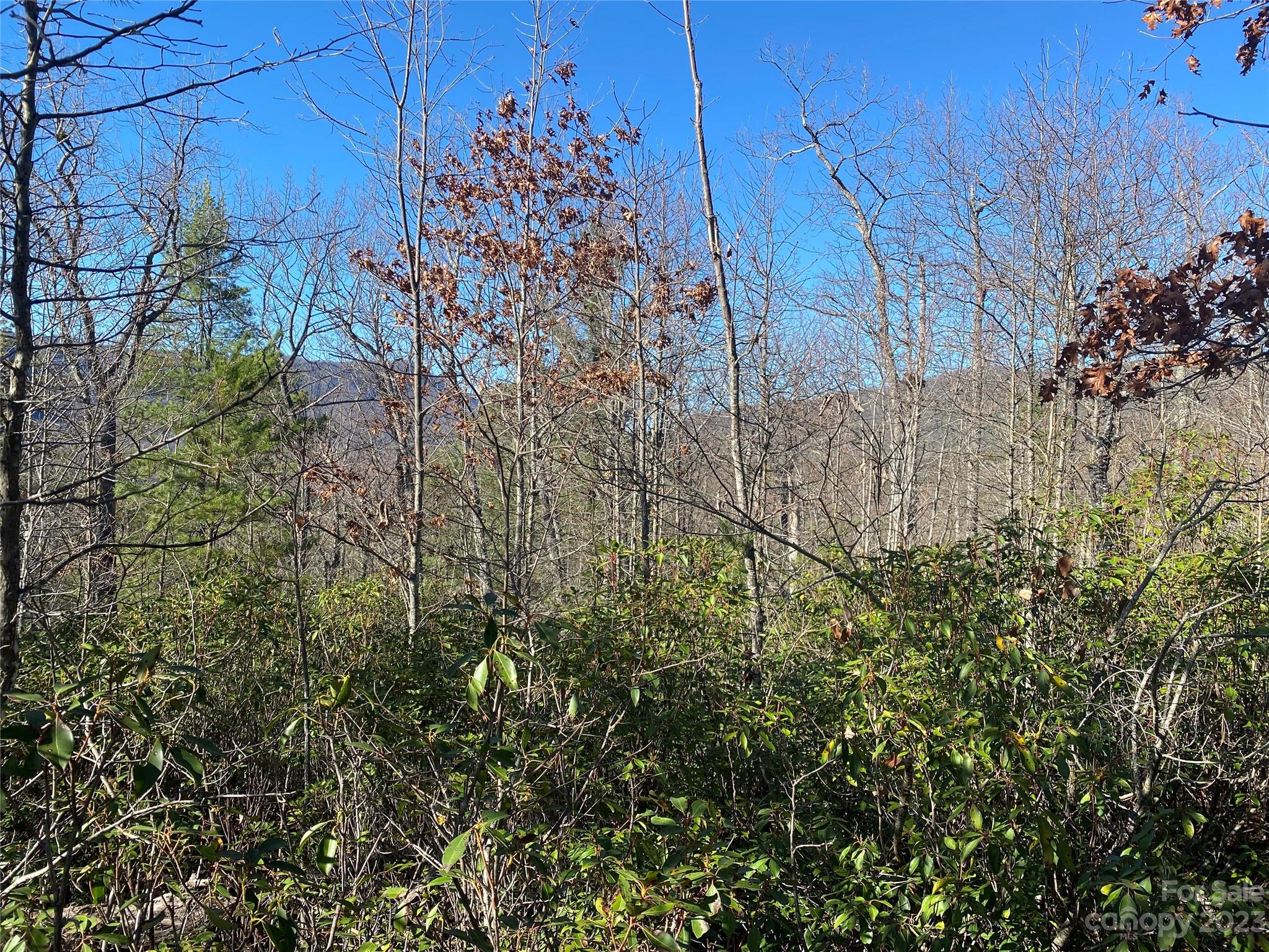 Lot at Lot 49 Sunrise Path, Marion, photo 8 of 15