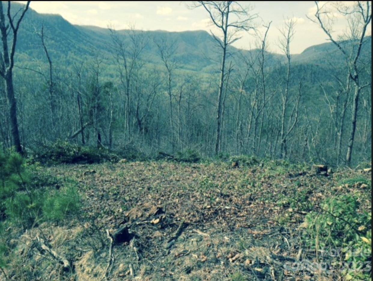 Lot when previously cleared... - Lot 49 Sunrise Path, Marion