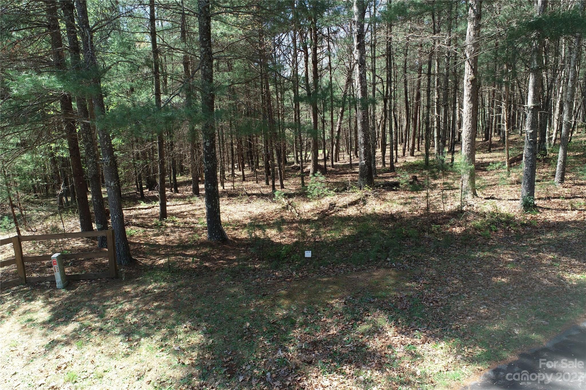 1301 Scenic Vista Drive
