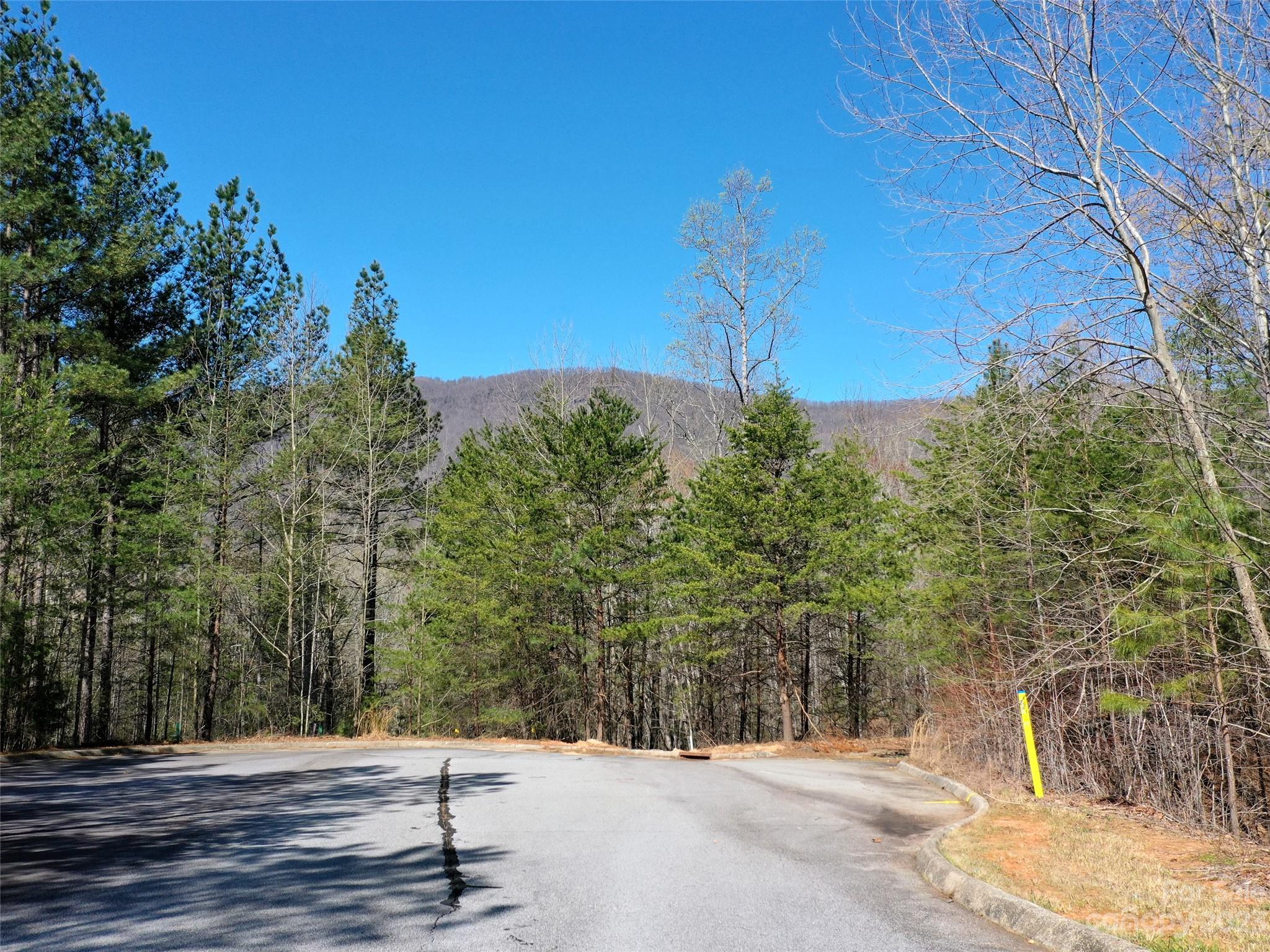 Lot at LOT 25 Monteith Place, Mill Spring, photo 2 of 10