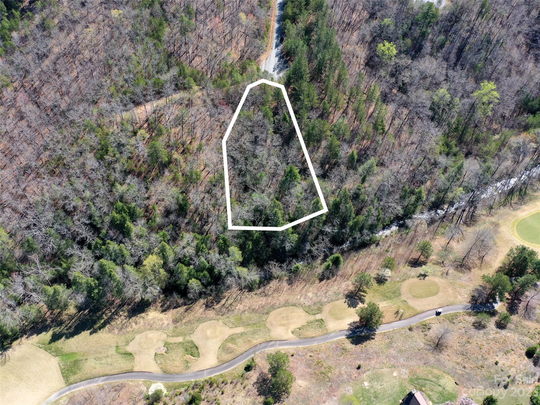 Lot at LOT 25 Monteith Place, Mill Spring, photo 7 of 10