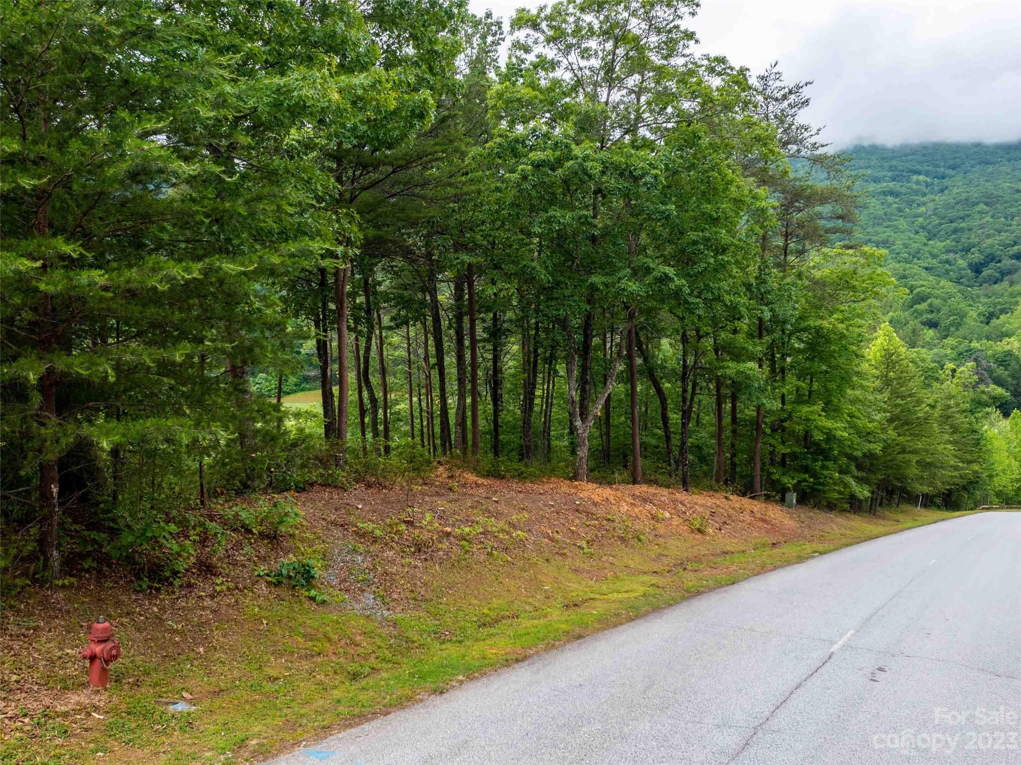 Lot at LOT 43 Deep Gap Farm Road E, Mill Spring, photo 3 of 7