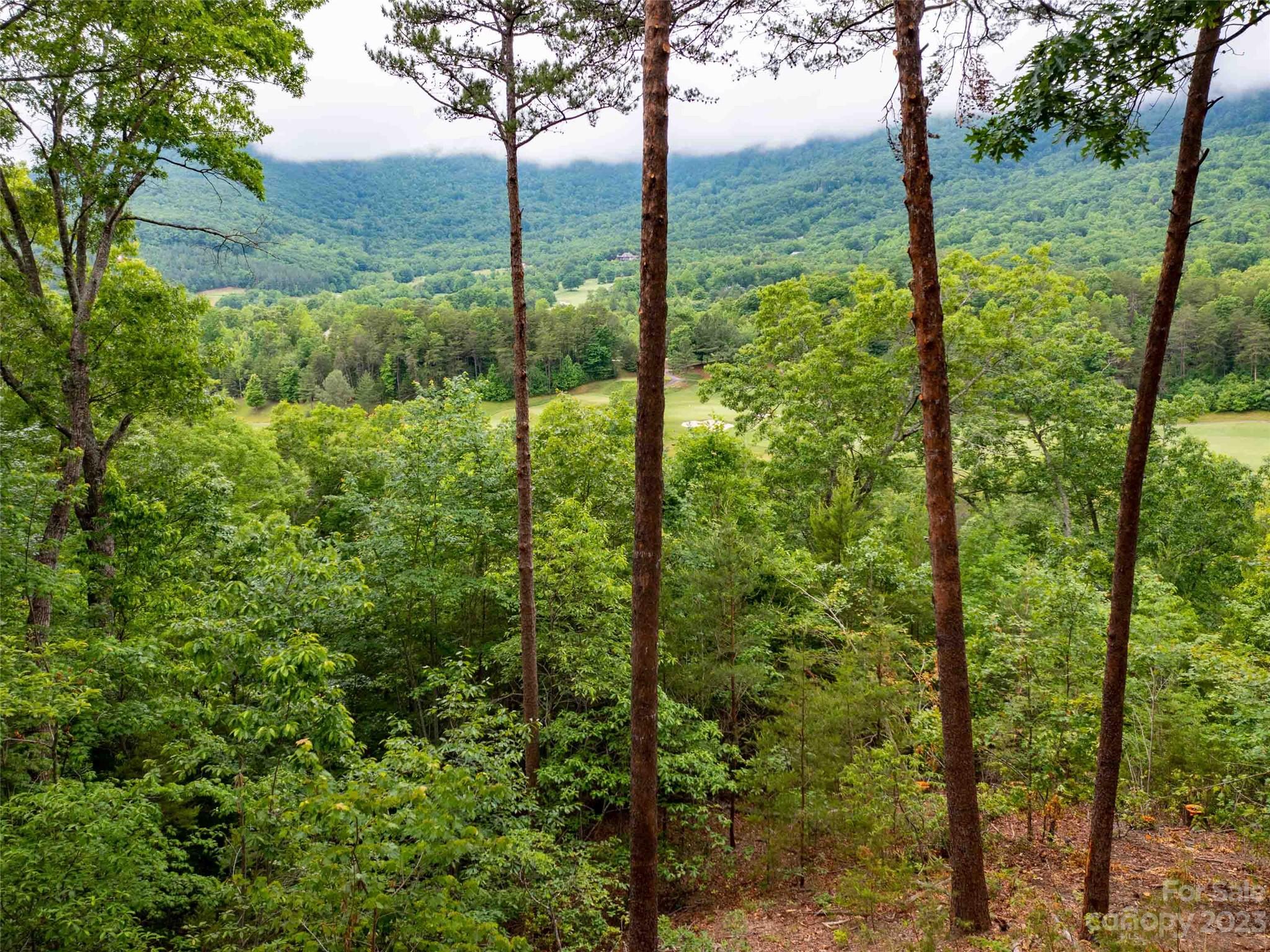 Lot at LOT 43 Deep Gap Farm Road E, Mill Spring, photo 5 of 7