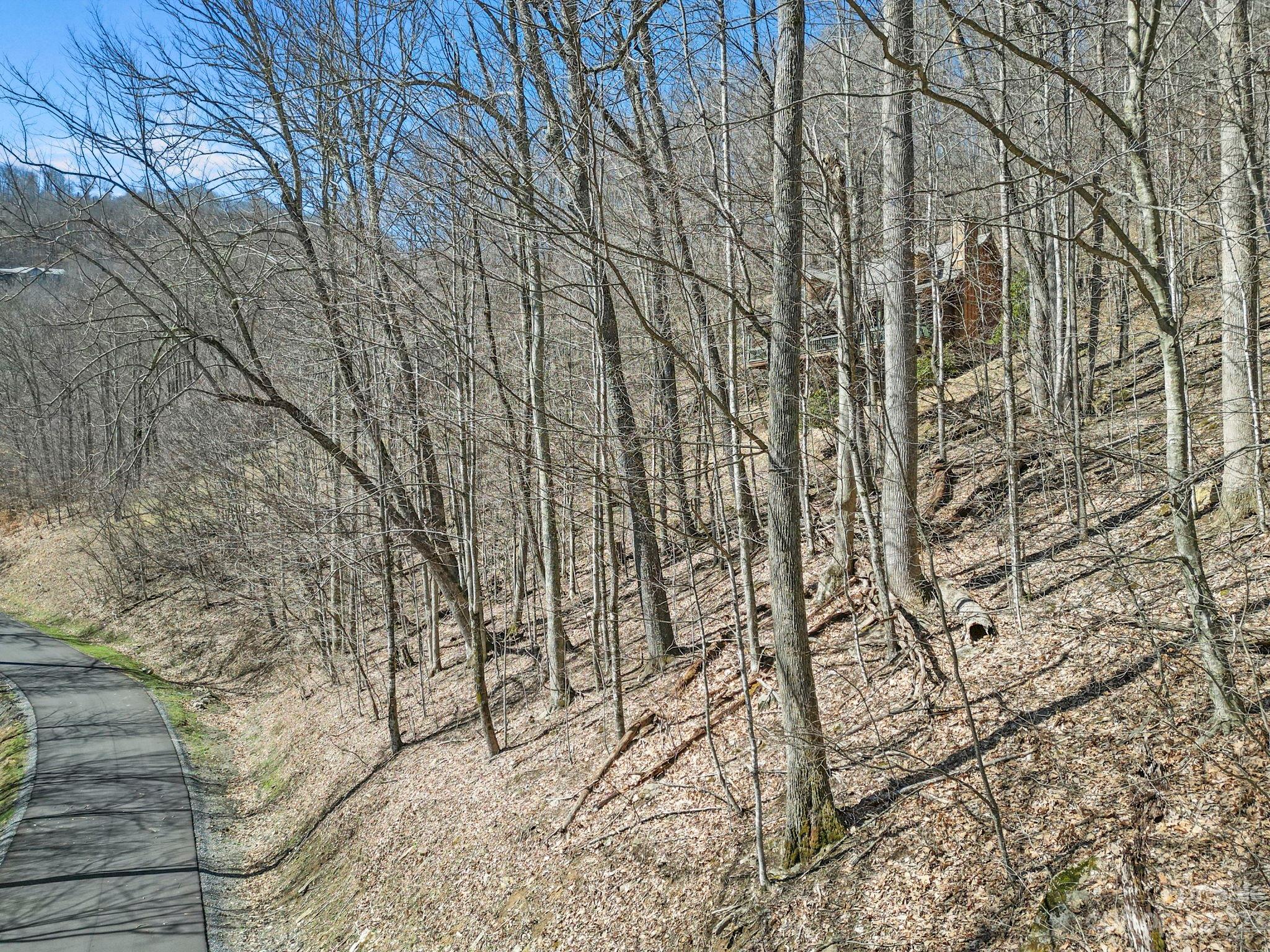 Lot at 16 Chestnut Village Lane, Mars Hill, photo 7 of 40