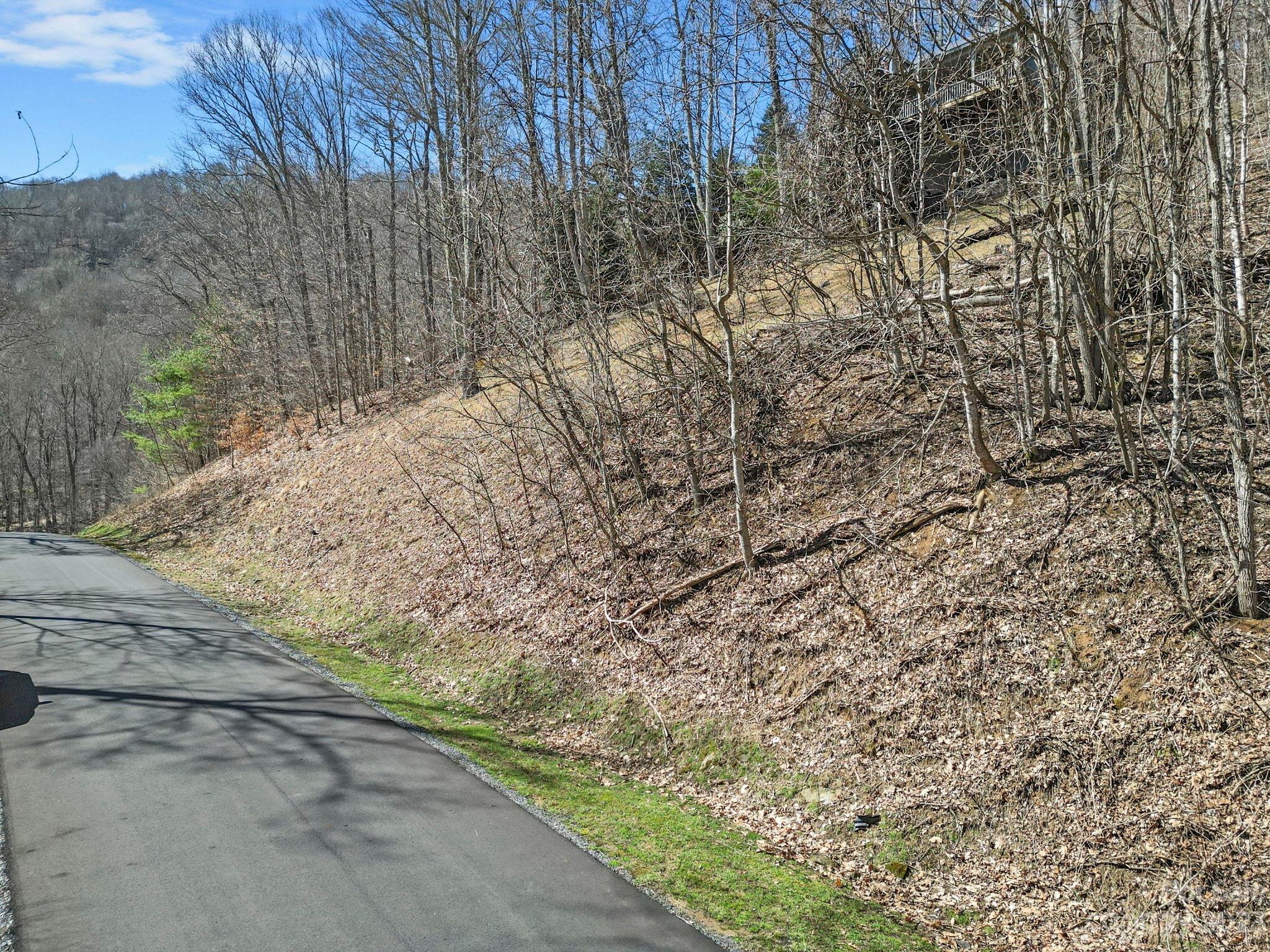 Lot at 16 Chestnut Village Lane, Mars Hill, photo 9 of 40