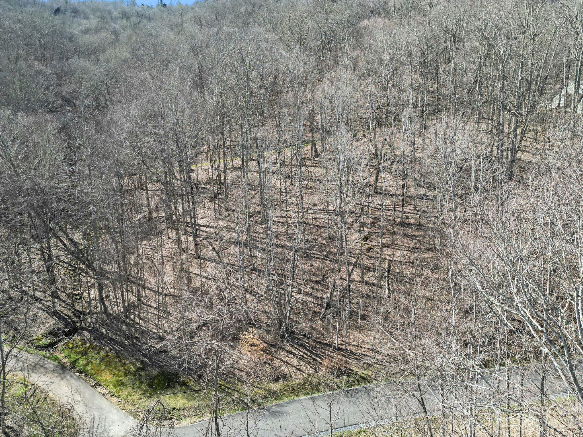 Lot at 18 Chestnut Village Lane, Mars Hill, photo 2 of 33
