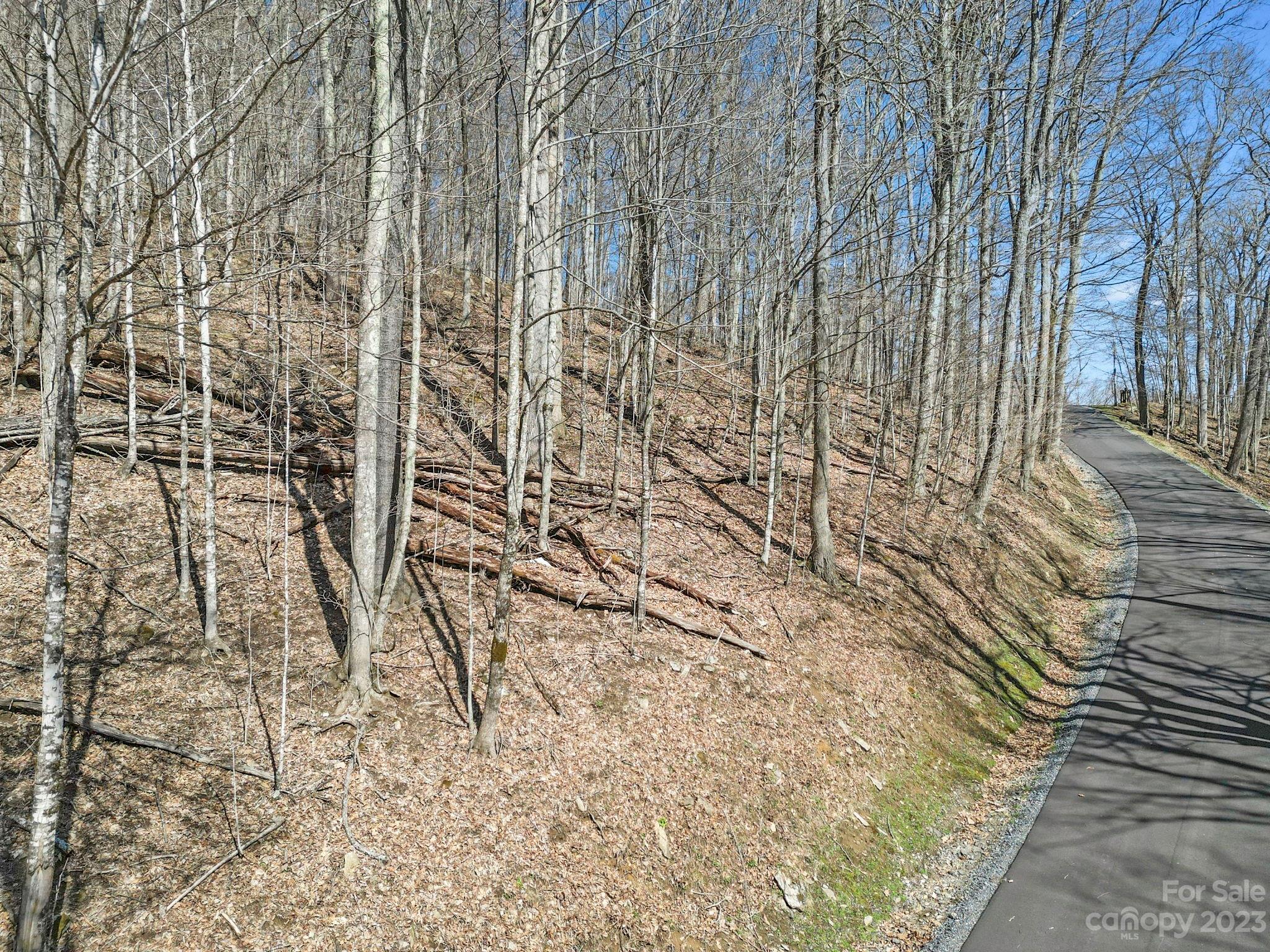 Lot at 3 Chestnut Village Lane, Mars Hill, photo 7 of 39