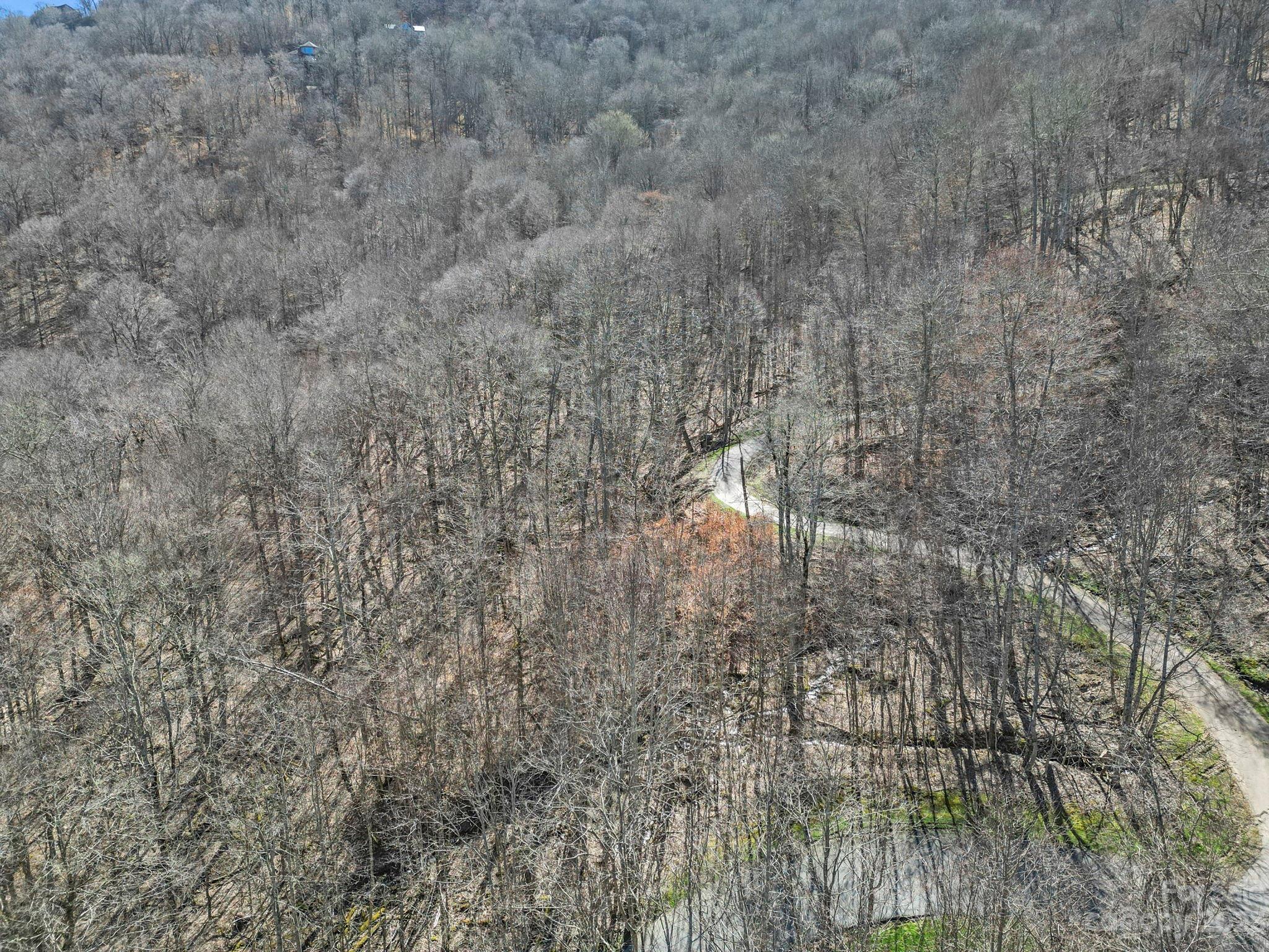 Lot at 3 Chestnut Village Lane, Mars Hill, photo 8 of 39