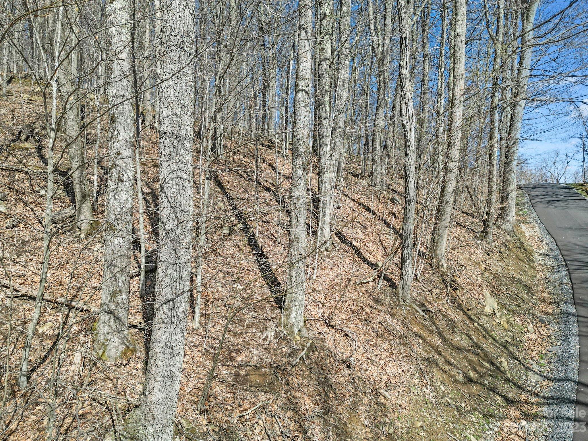 Lot at 3 Chestnut Village Lane, Mars Hill, photo 11 of 39