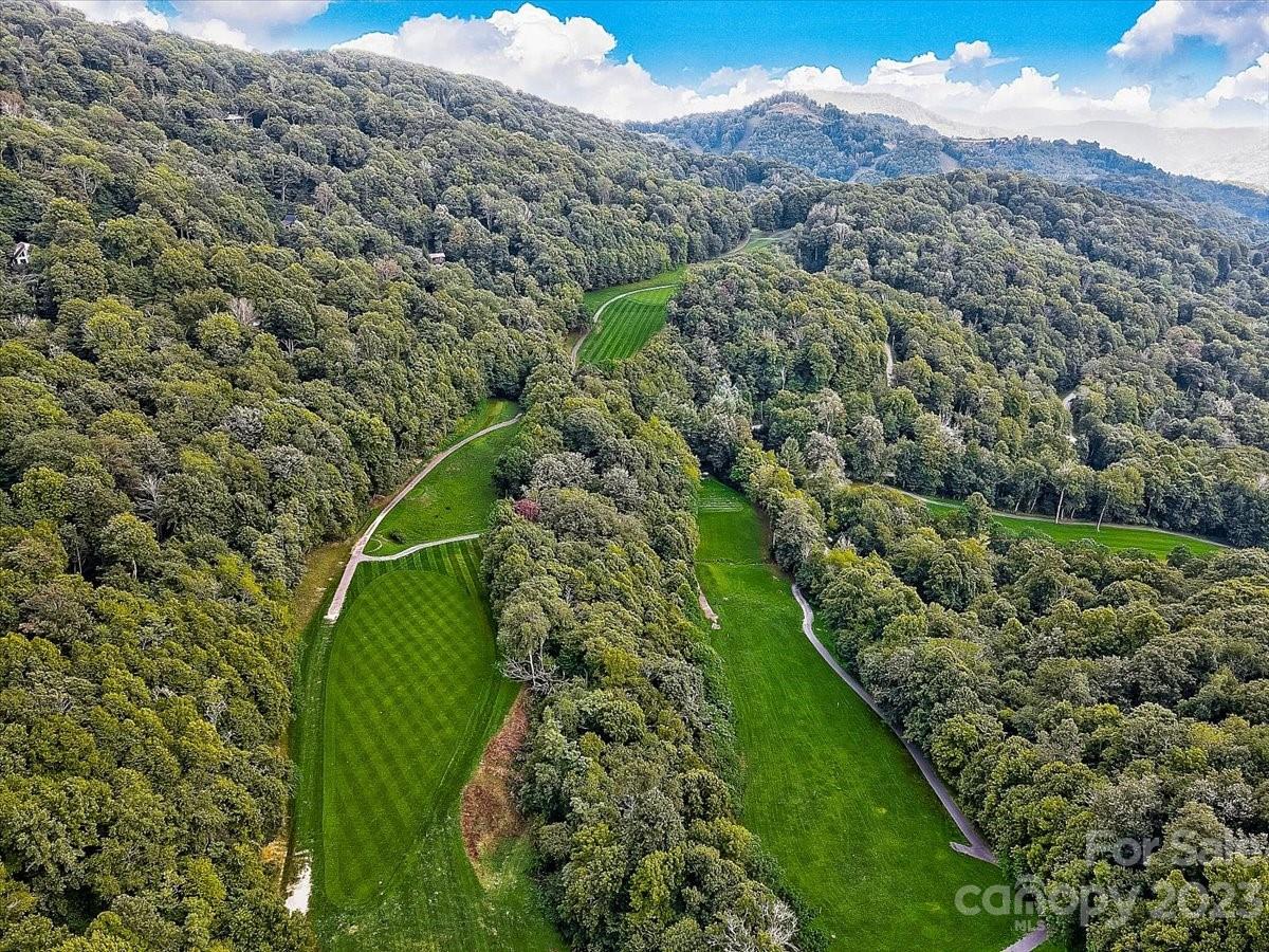 Lot at 16 Chestnut Village Lane, Mars Hill, photo 25 of 40