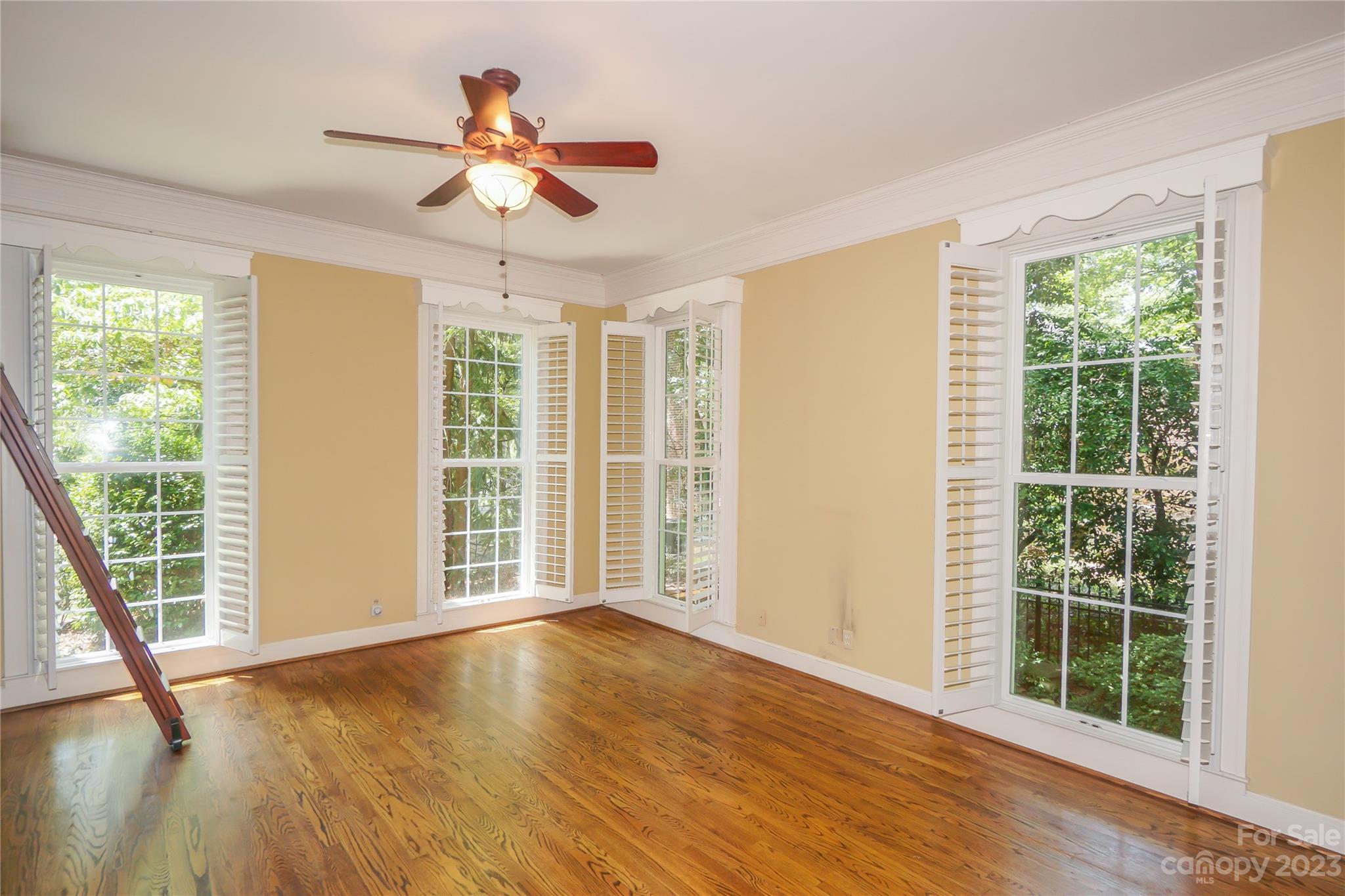 Bedroom/Library - 620 N 9th Street, Albemarle