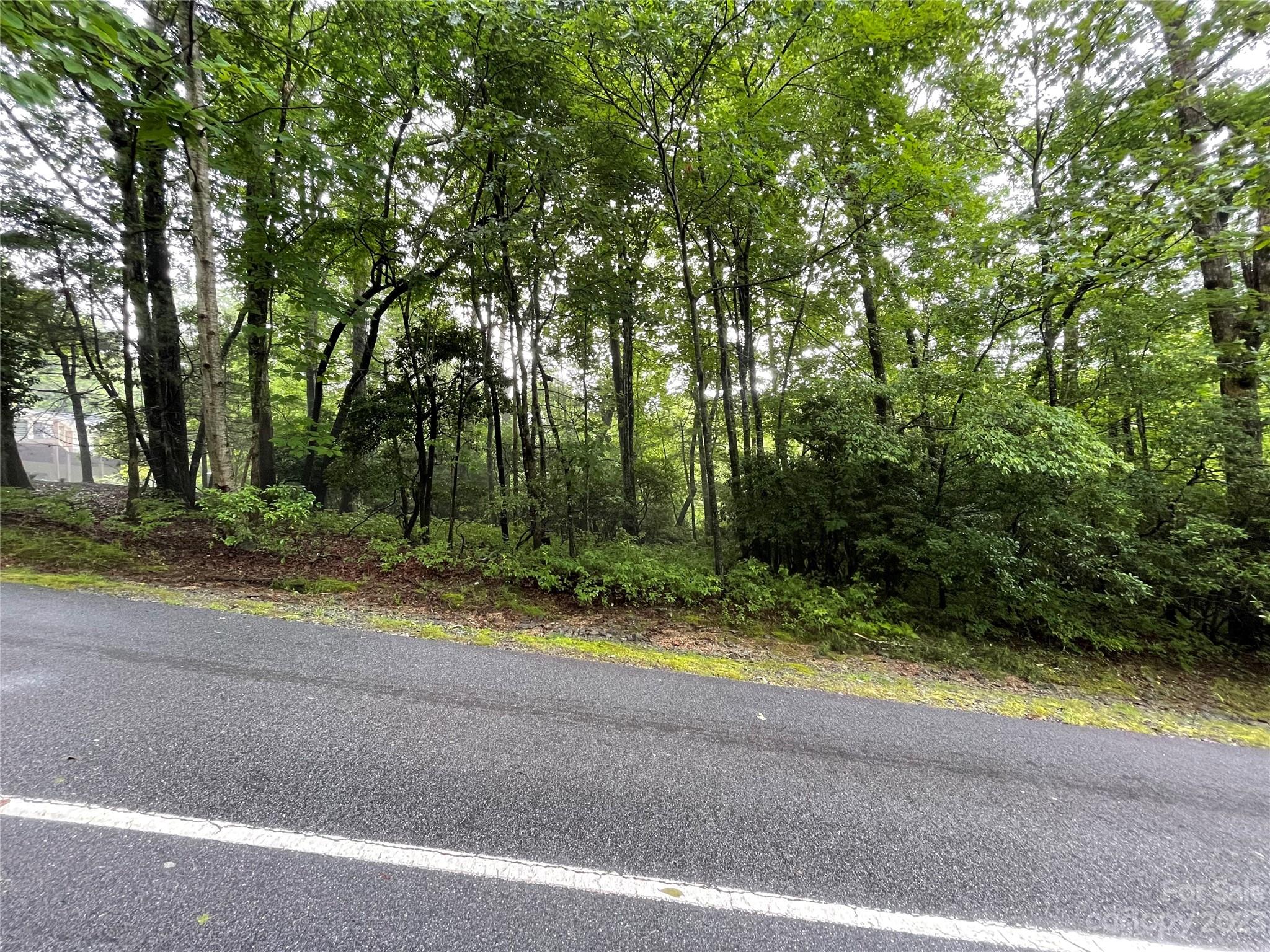 Lot at TBD Tellico Trail, Brevard, photo 4 of 10