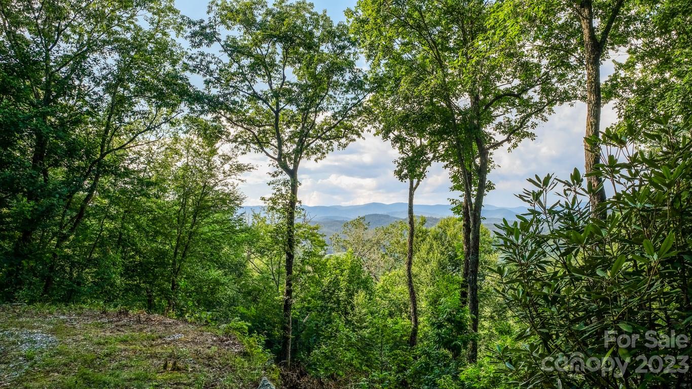 Lot at 427 Quarry Road, Lake Toxaway, photo 4 of 21