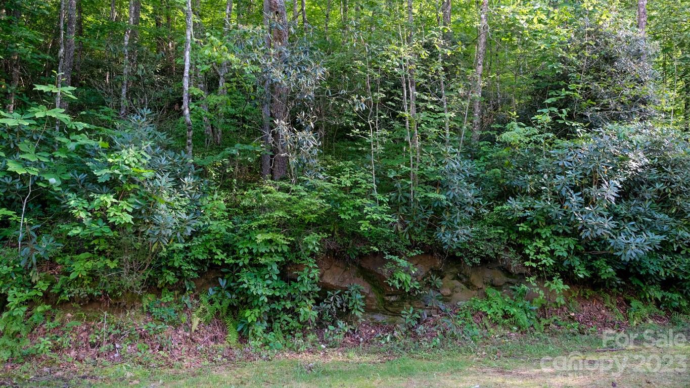 Lot at 427 Quarry Road, Lake Toxaway, photo 7 of 21
